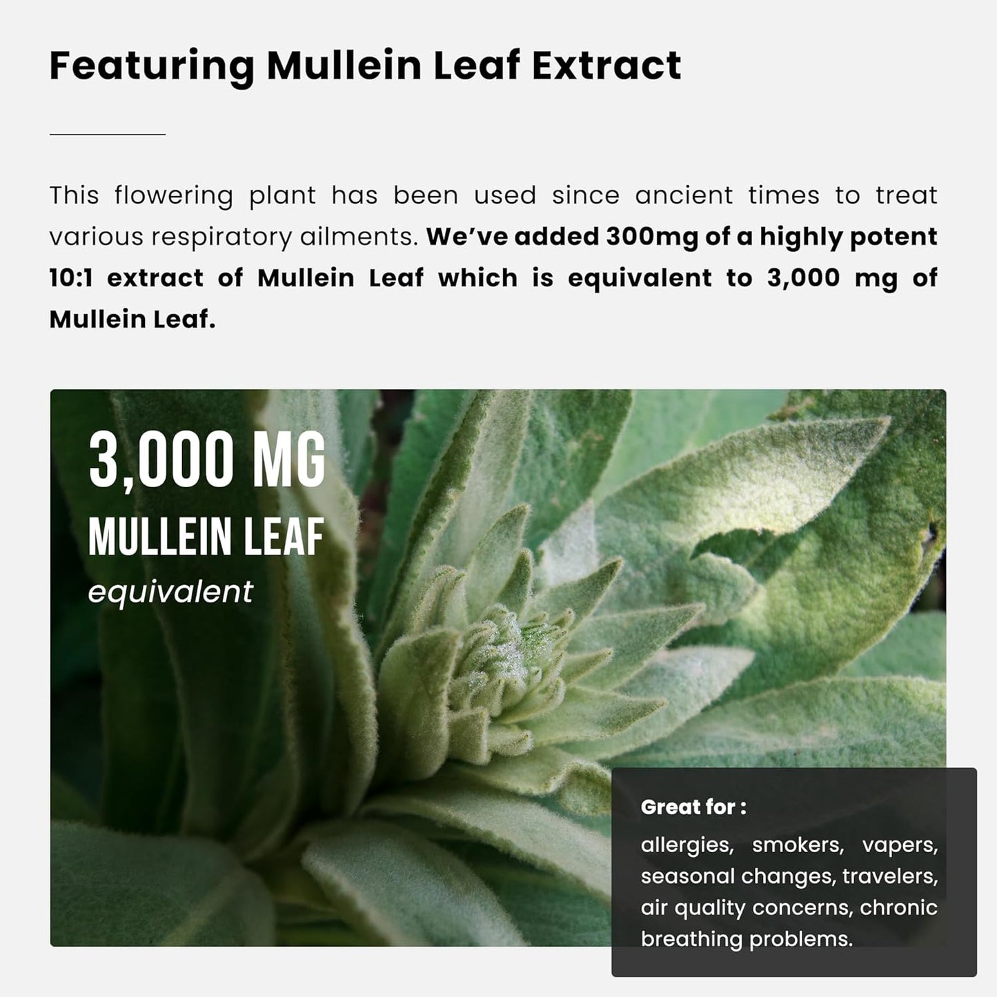 mullein-leaf-capsules-for-lung-detox-respiratory-health---immune-mucus-support---vegan-supplement---3000mg-extract---nutrachamps-2