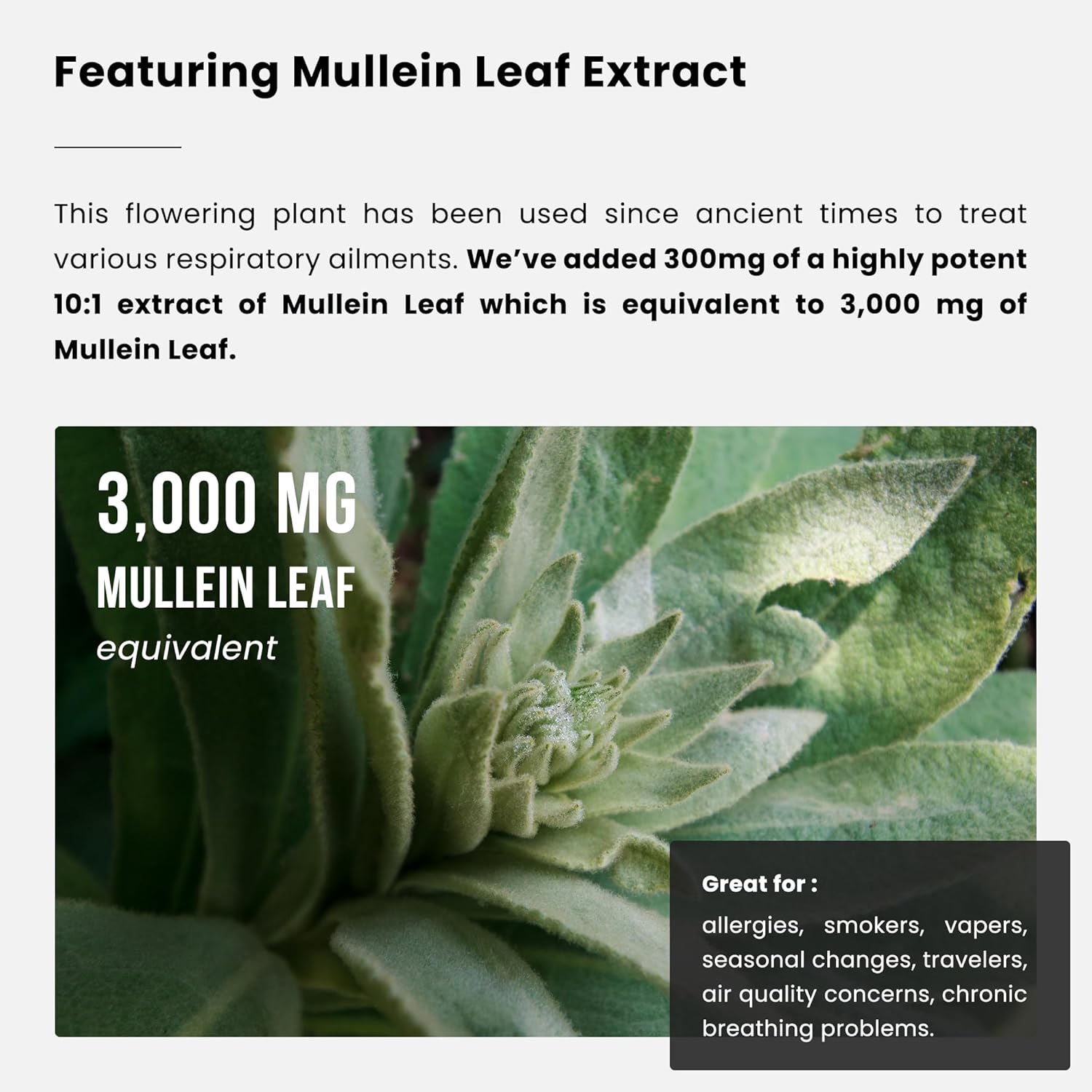 mullein-leaf-capsules-for-lung-detox-respiratory-health---immune-mucus-support---vegan-supplement---3000mg-extract---nutrachamps-2