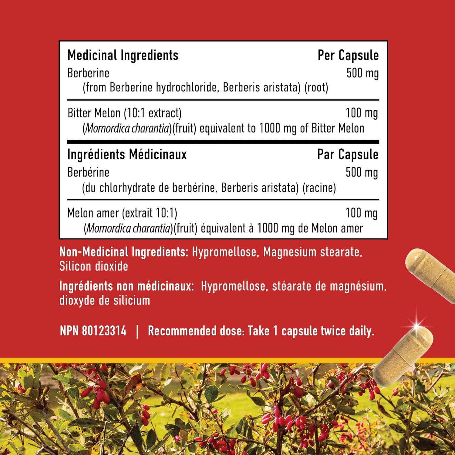 high-potency-berberine-hcl-supplement---1000mg-support-glucose-heart-health-500mg-per-capsule-bitter-melon-non-gmo---90-ct-6