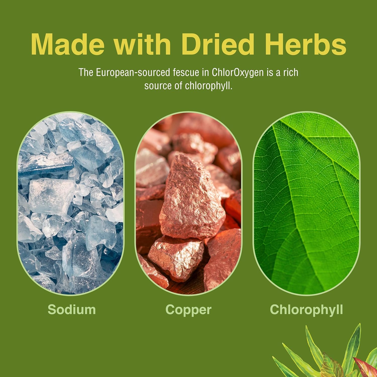 herbs-etc-chloroxygen-chlorophyll-concentrate-softgels---supports-healthy-blood-circulation-energy---high-altitude-environment-aid---60-servings-5