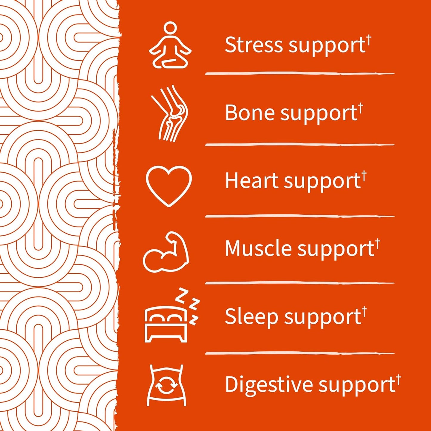 vegan-magnesium-citrate-gummies-with-prebiotics-probiotics-for-stress-sleep-recovery---gluten-free-non-gmo---60-count-2