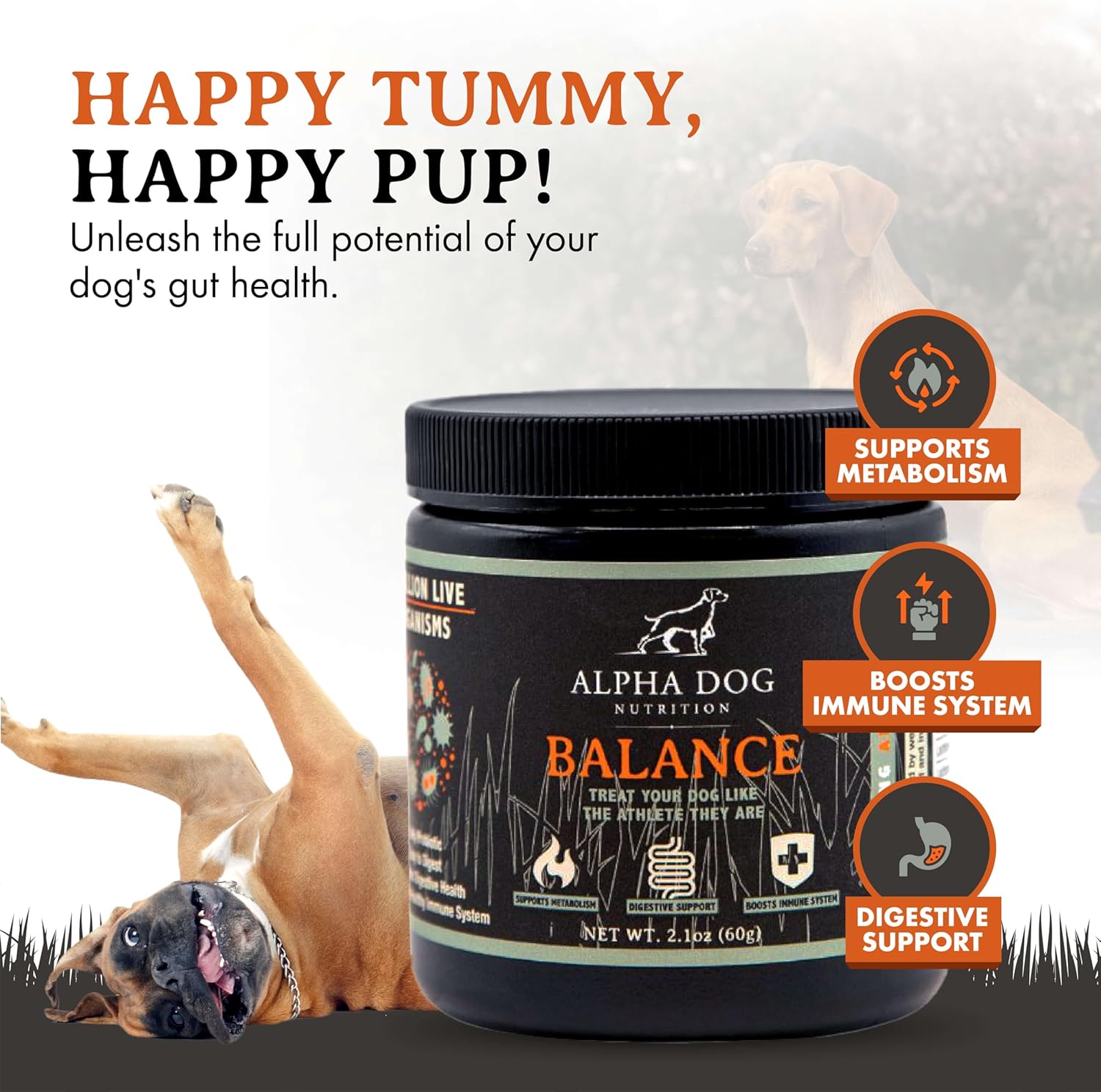 alpha-dog-nutrition-balance-probiotic-blend-for-canines---gut-health-supplement-with-probiotics-and-prebiotics-4