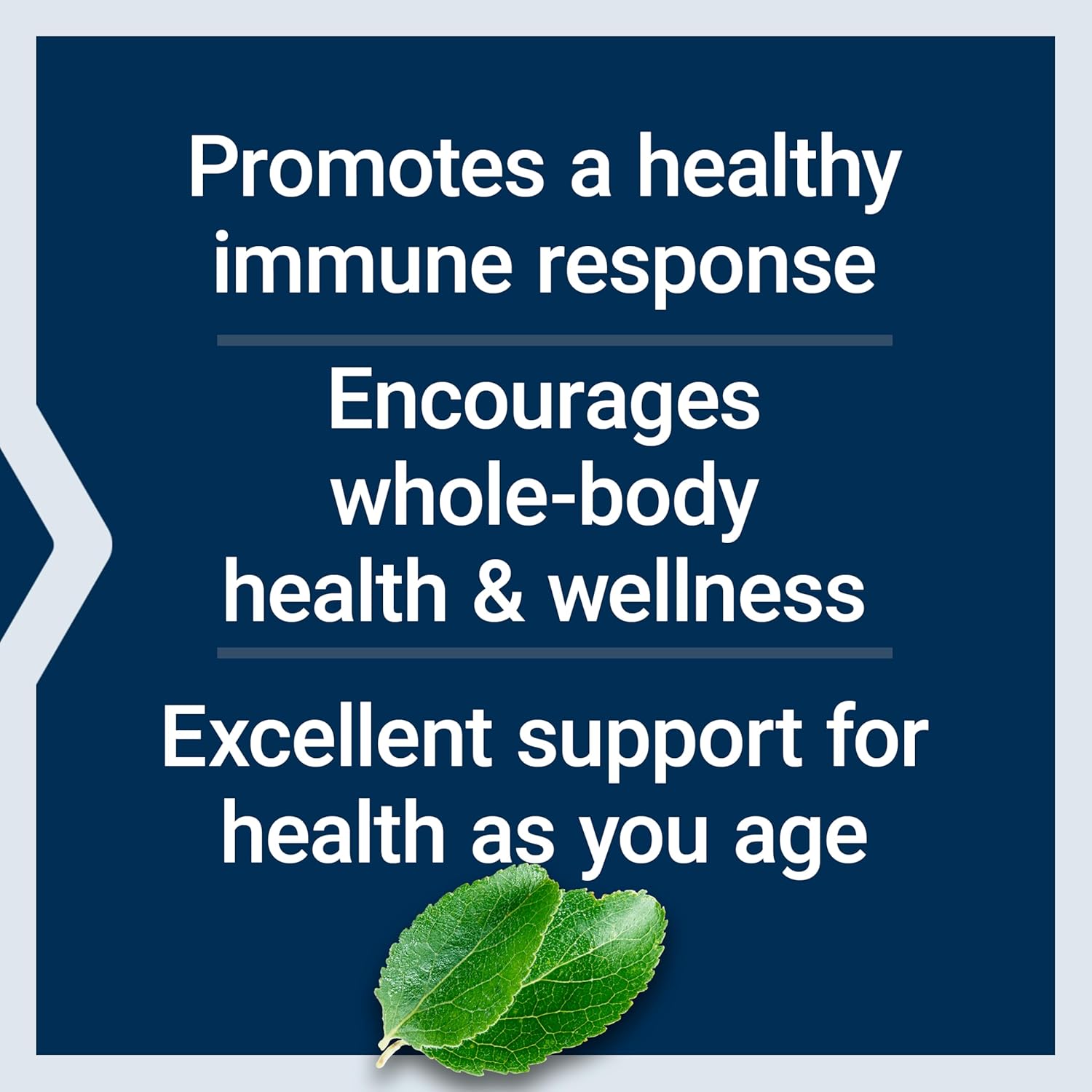 life-extension-black-cumin-seed-oil-softgels-for-immune-and-whole-body-health---60-gluten-free-non-gmo-capsules-4