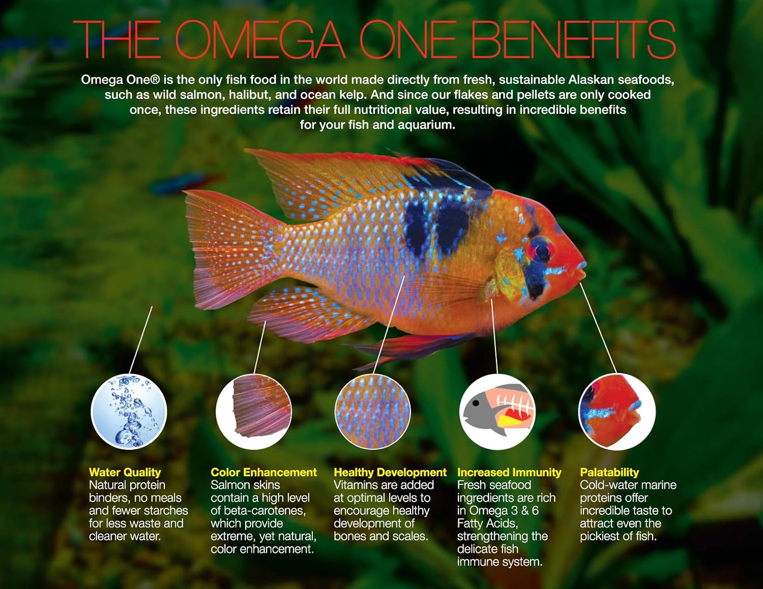 omega-one-adult-turtle-sticks---floating-11mm-sticks-2-lb-bucket-4