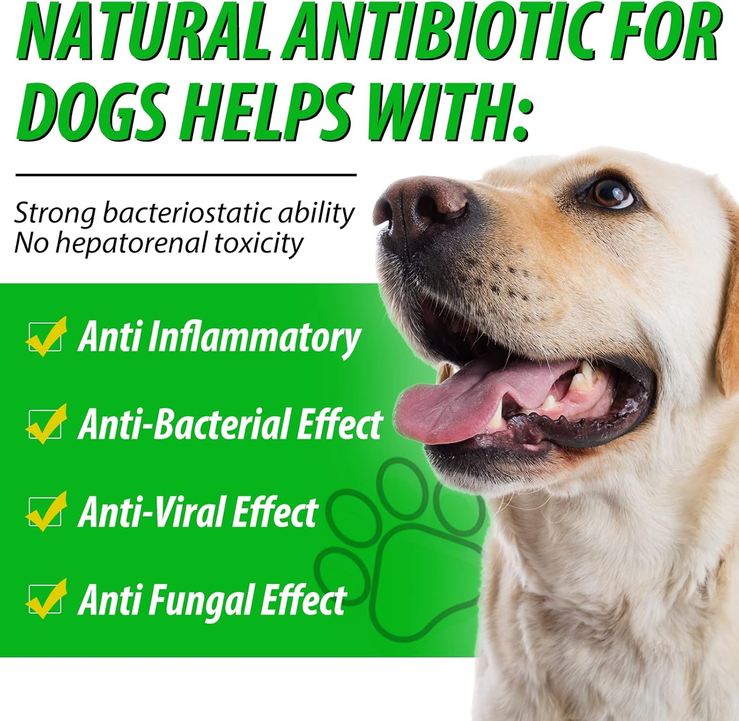 natural-antibiotics-for-dogs---allergy-relief-itch-relief-multivitamin-immune-support---2-pack-5