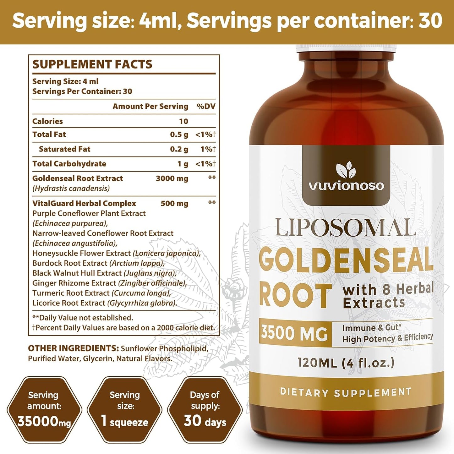 goldenseal-root-liquid-extract-for-immune-support-lung-health---3000mg-tincture---sugar-free-vegan---fast-absorbing-echinacea-goldenseal-blend---120ml-x-2-pack-6