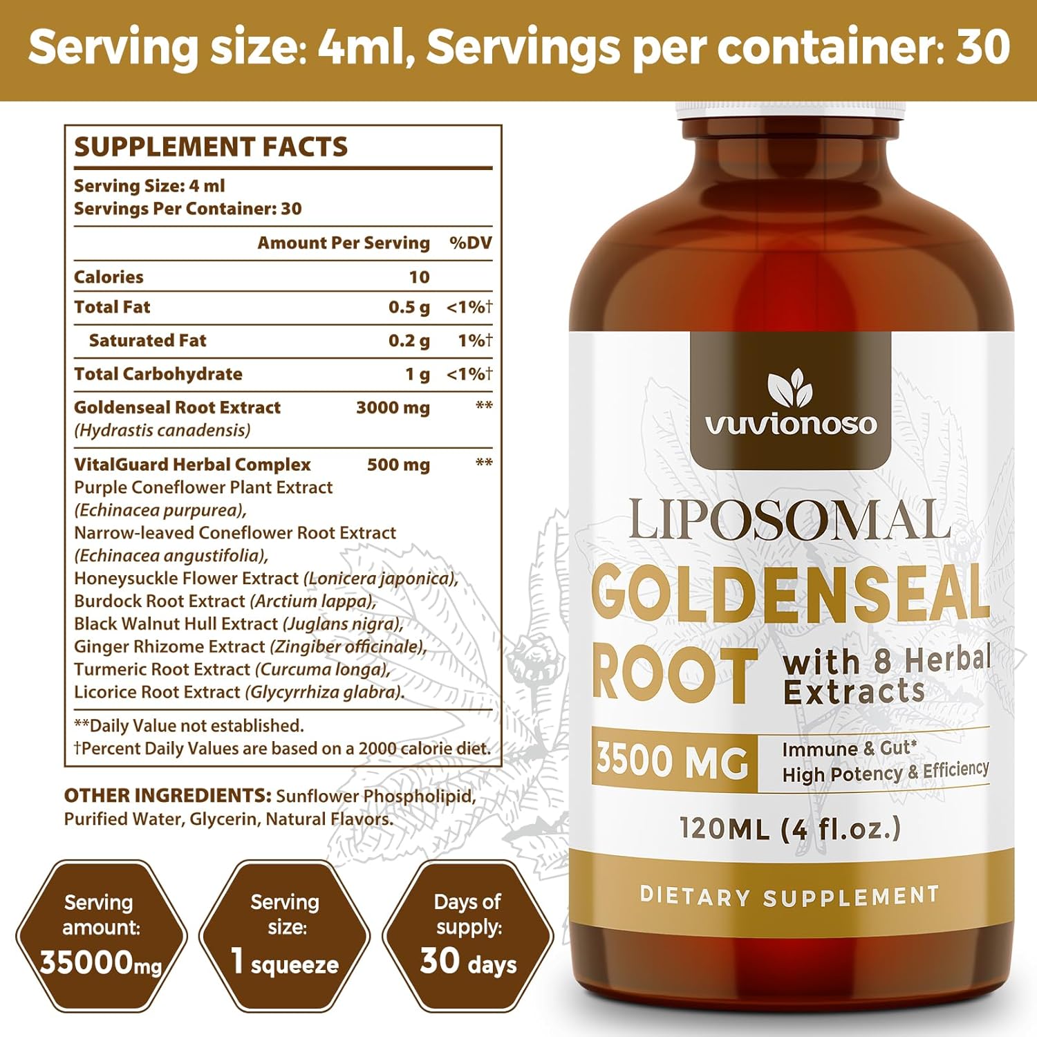 goldenseal-root-liquid-extract-for-immune-support-lung-health---3000mg-tincture---sugar-free-vegan---fast-absorbing-echinacea-goldenseal-blend---120ml-x-2-pack-6