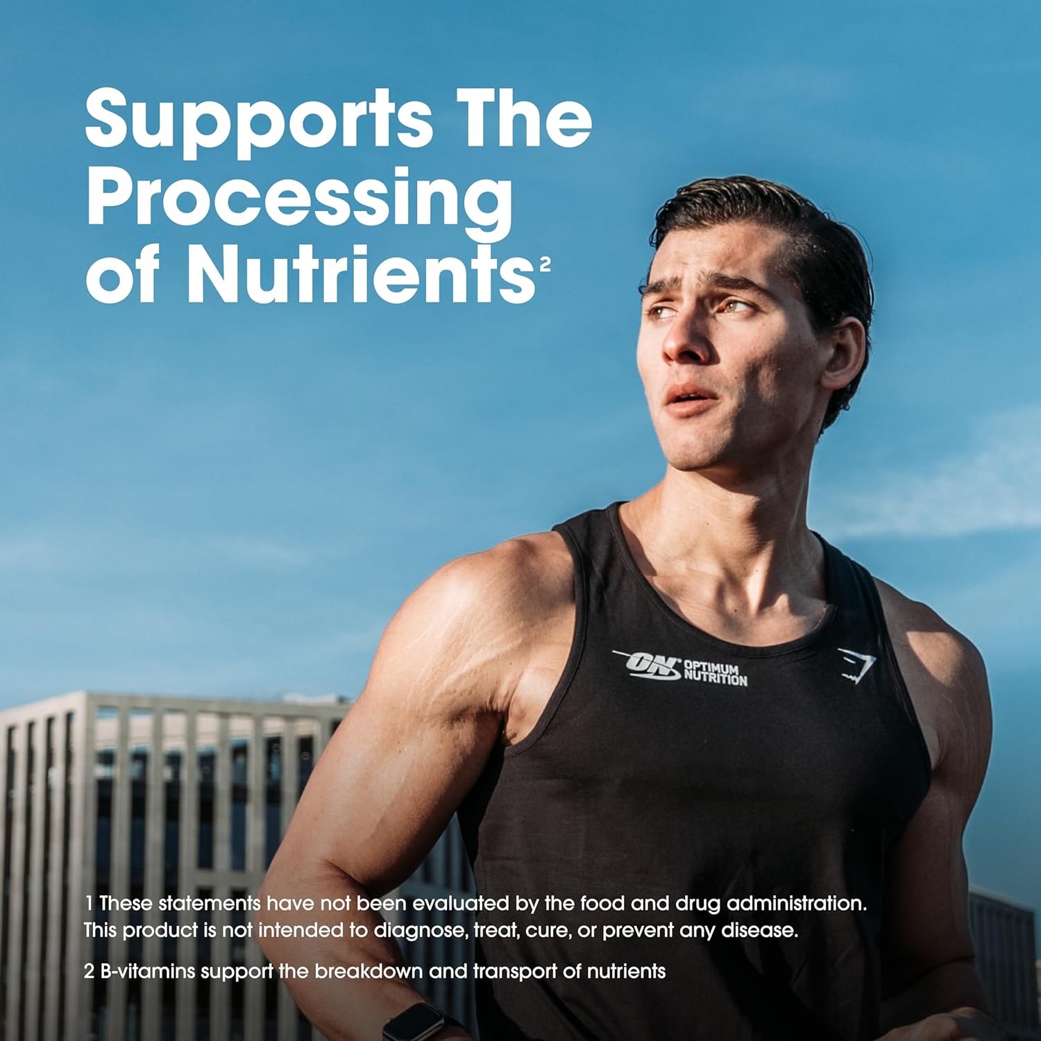 optimum-nutrition-opti-men-daily-multivitamin-for-men---immune-support-amino-acids-240-count---80-day-supply-7