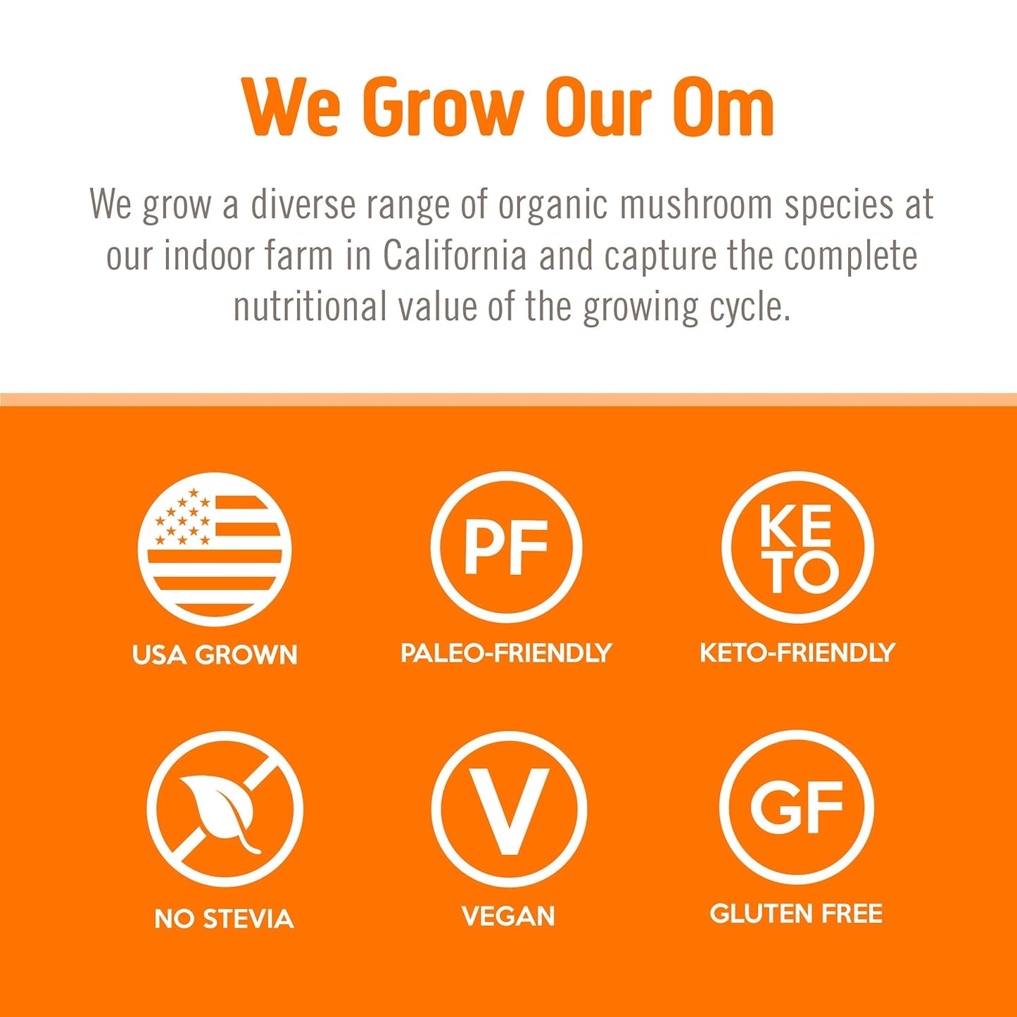 om-mushroom-superfood-energy-plus-drink-mix---citrus-orange-flavor---10-single-serve-packets---mushroom-blend-with-cordyceps-yerba-mate-tumeric-vitamin-b-complex---pre-workout-immune-support-7