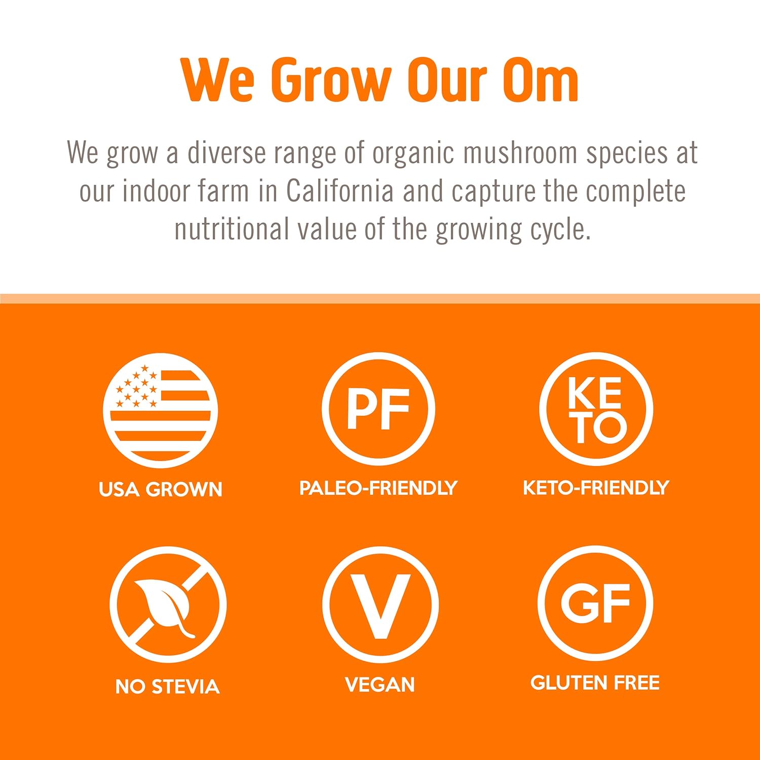om-mushroom-superfood-energy-plus-drink-mix---citrus-orange-flavor---10-single-serve-packets---mushroom-blend-with-cordyceps-yerba-mate-tumeric-vitamin-b-complex---pre-workout-immune-support-7