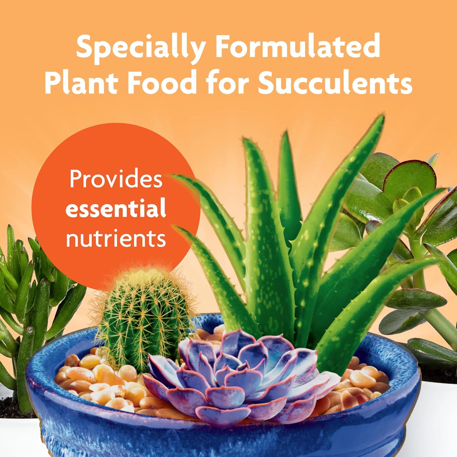 liquid-succulent-plant-food-for-indoor-plants-8-oz-bottle-pack-of-3---miracle-gro-formula-for-cacti-aloe-vera-jade-plants-and-more-2