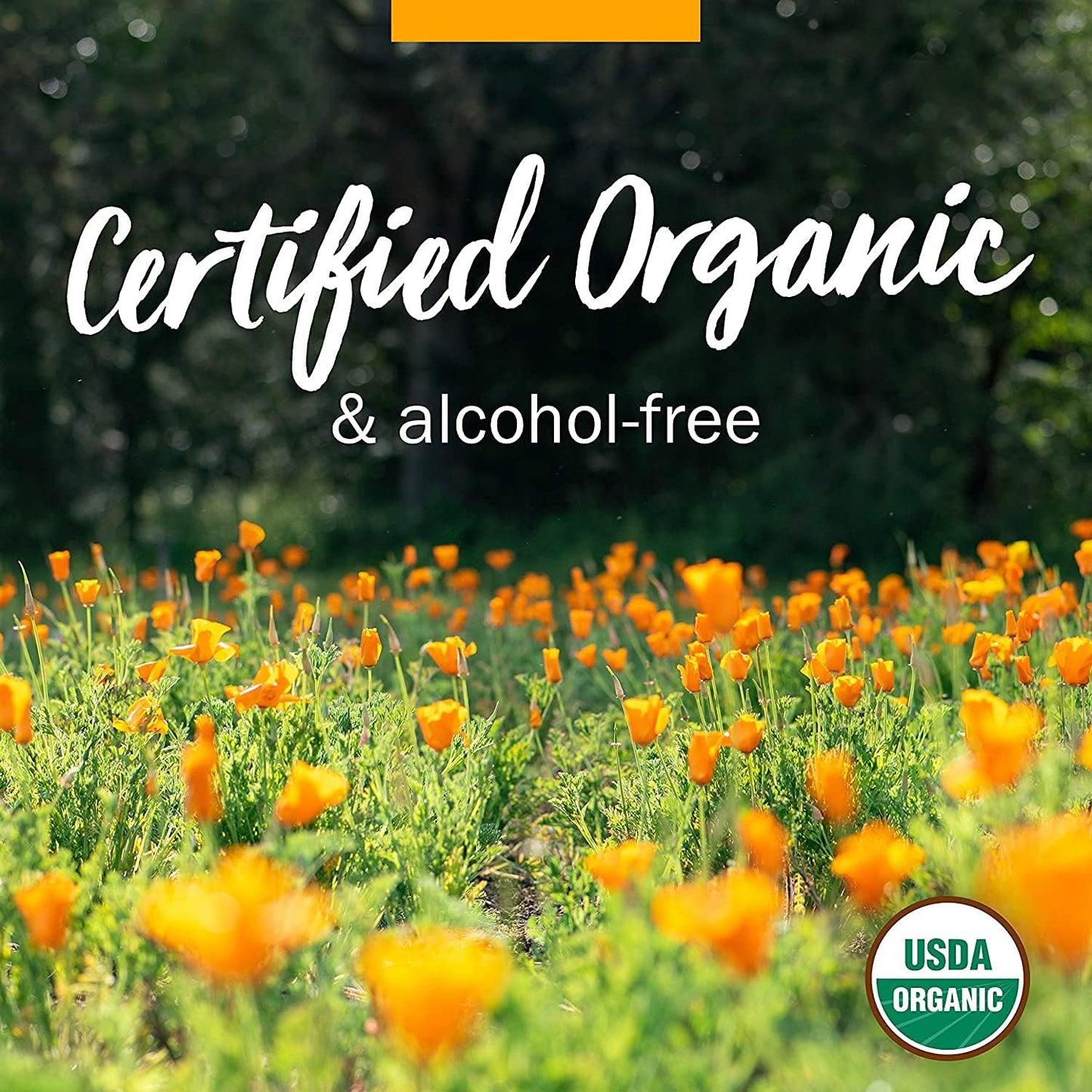 organic-angelica-root-liquid-extract-for-digestive-support---1-fl-oz-pack-of-2-by-herb-pharm-4