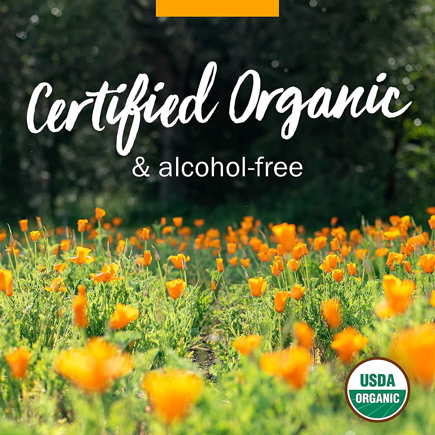 organic-angelica-root-liquid-extract-for-digestive-support---1-fl-oz-pack-of-2-by-herb-pharm-4