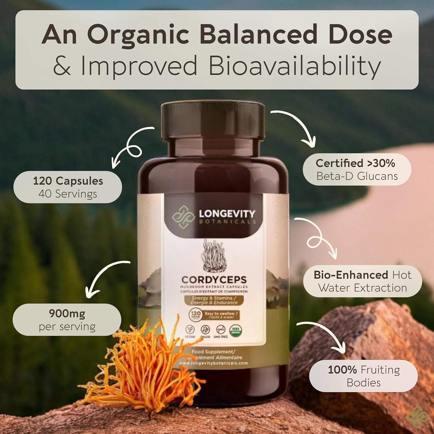 organic-cordyceps-mushroom-capsules---ultra-concentrated-extract-supplement-for-energy-endurance-and-stamina---100-fruiting-body---120-count-4