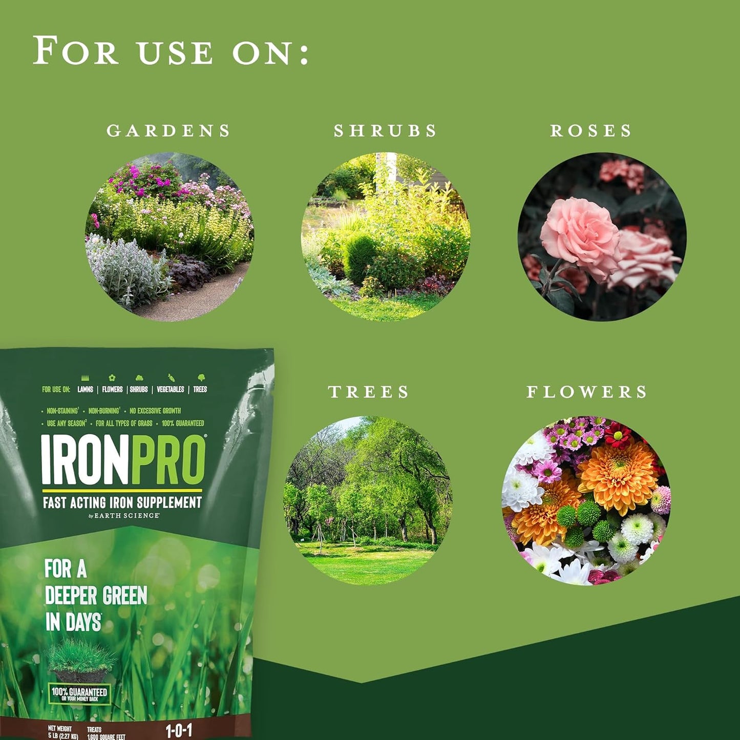 Earth Science Iron Pro Fast Acting Supplement for Lawn & Garden - Deep Green Results for Grass, Flowers, Vegetables, & Shrubs - Non-Staining, Non-Burning Formula - Covers 1K Sq. Ft. - Espot.com.au