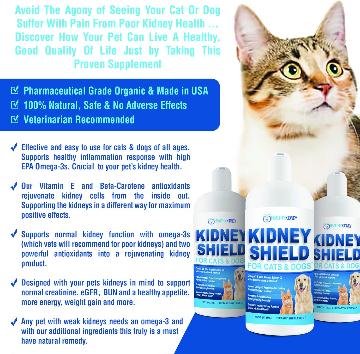 Pet Kidney Support Supplement for Dogs and Cats - Renal Health Formula to Restore Normal Kidney Function, Detox, and Cleanse Urinary Tract - Improve Overall Kidney Health and Vitality of Pets - Espot.com.au