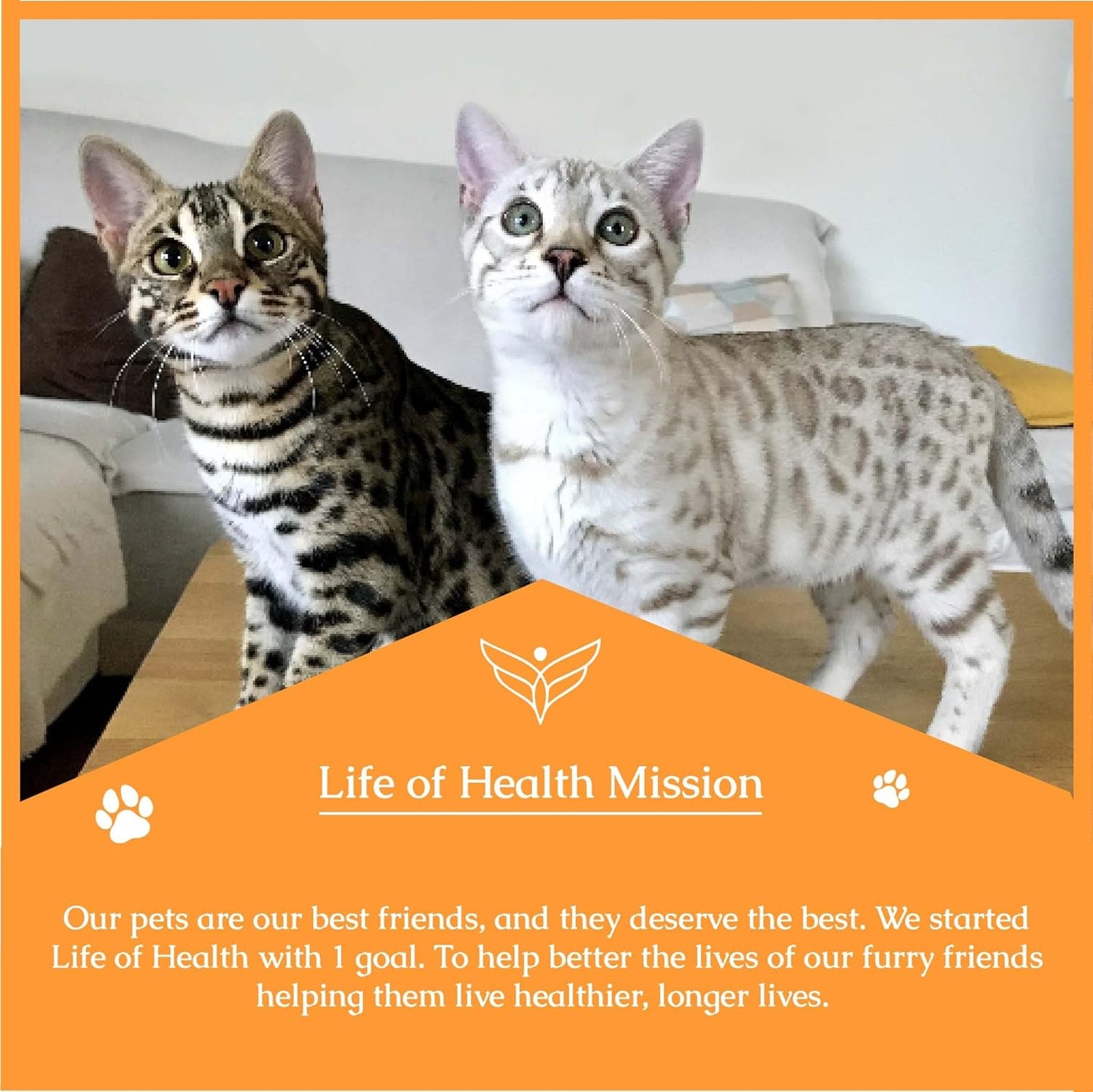 natural-antibiotics-for-cats---immune-support-and-uti-treatment---cat-multivitamin-supplement---pet-health---2-pack-8