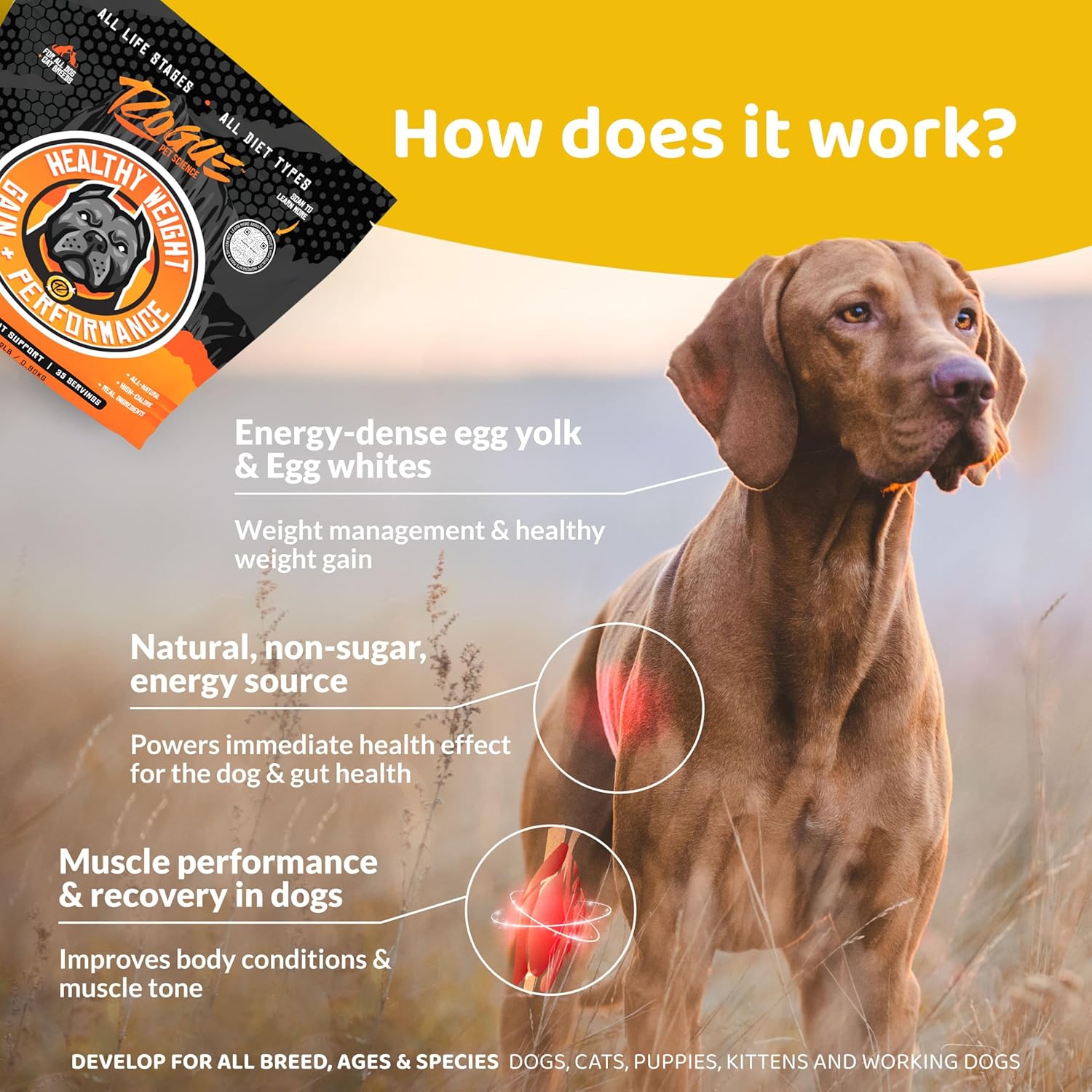 rogue-pet-science-healthy-weight---natural-high-calorie-dog-cat-food-topper-for-weight-gain-gut-health-energy---12-lb-3