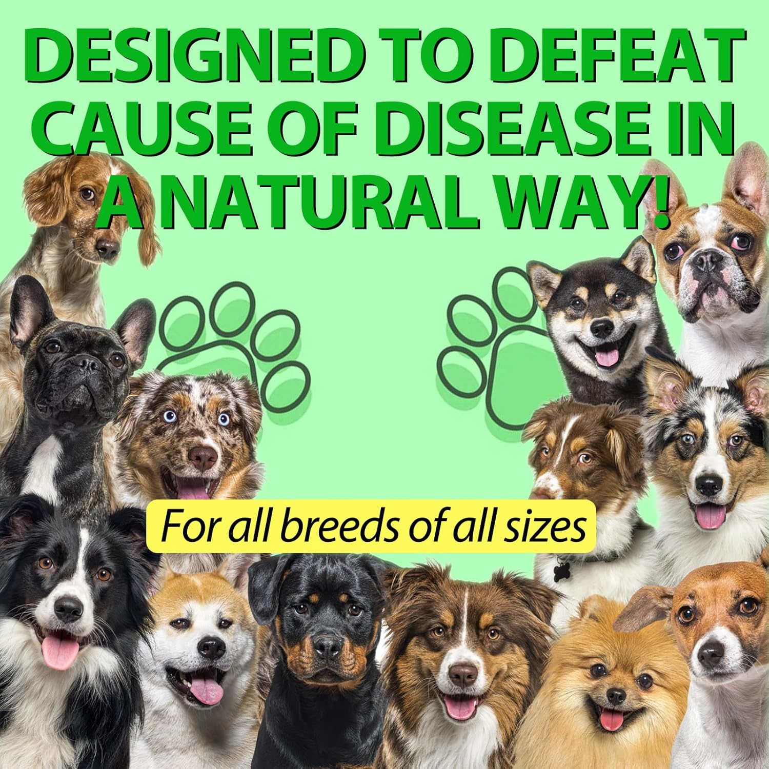 natural-antibiotics-for-dogs---allergy-relief-itch-relief-multivitamin-immune-support---2-pack-9