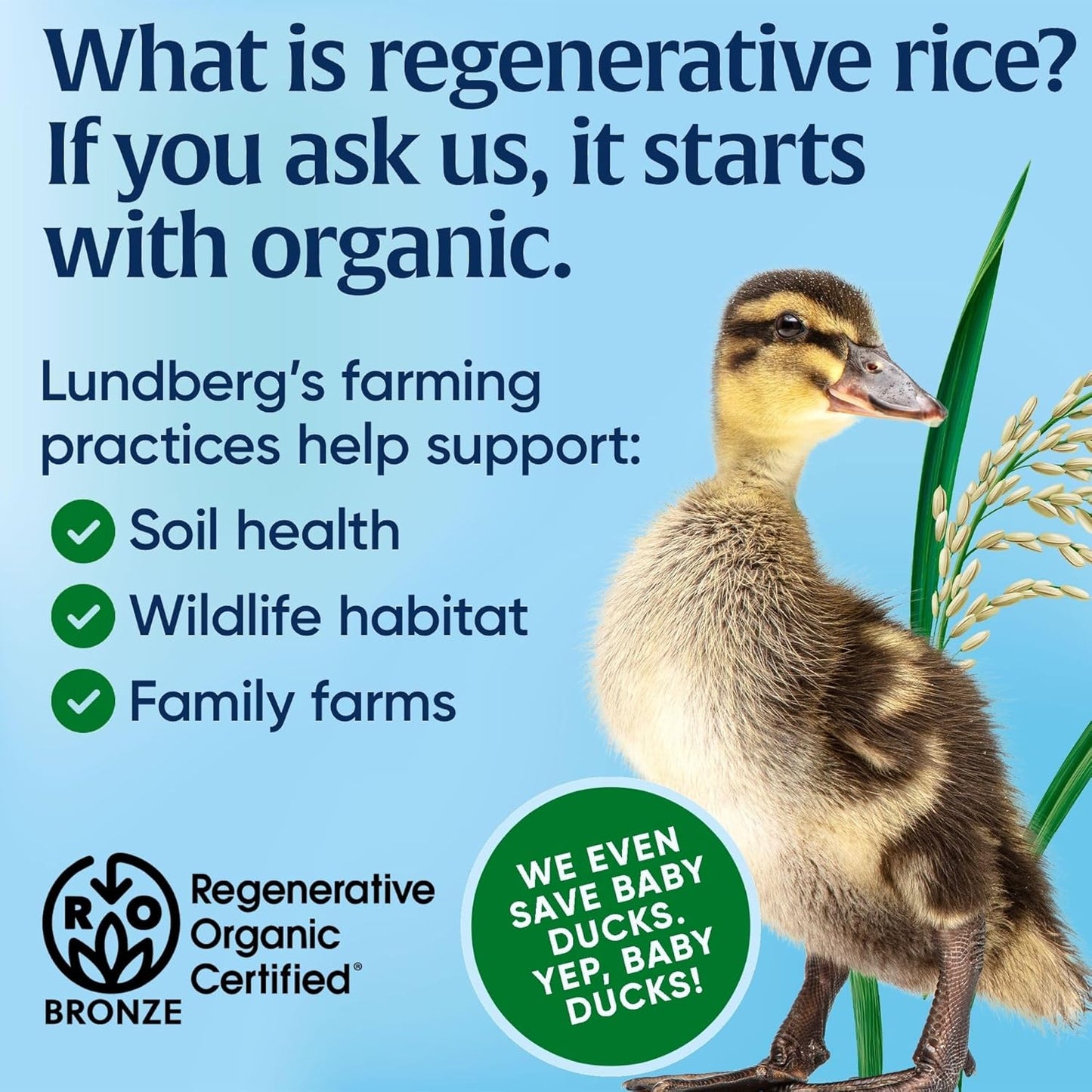 regenerative-organic-certified-lundberg-short-grain-brown-rice---nutty-sticky-rice-32-oz-from-california-8