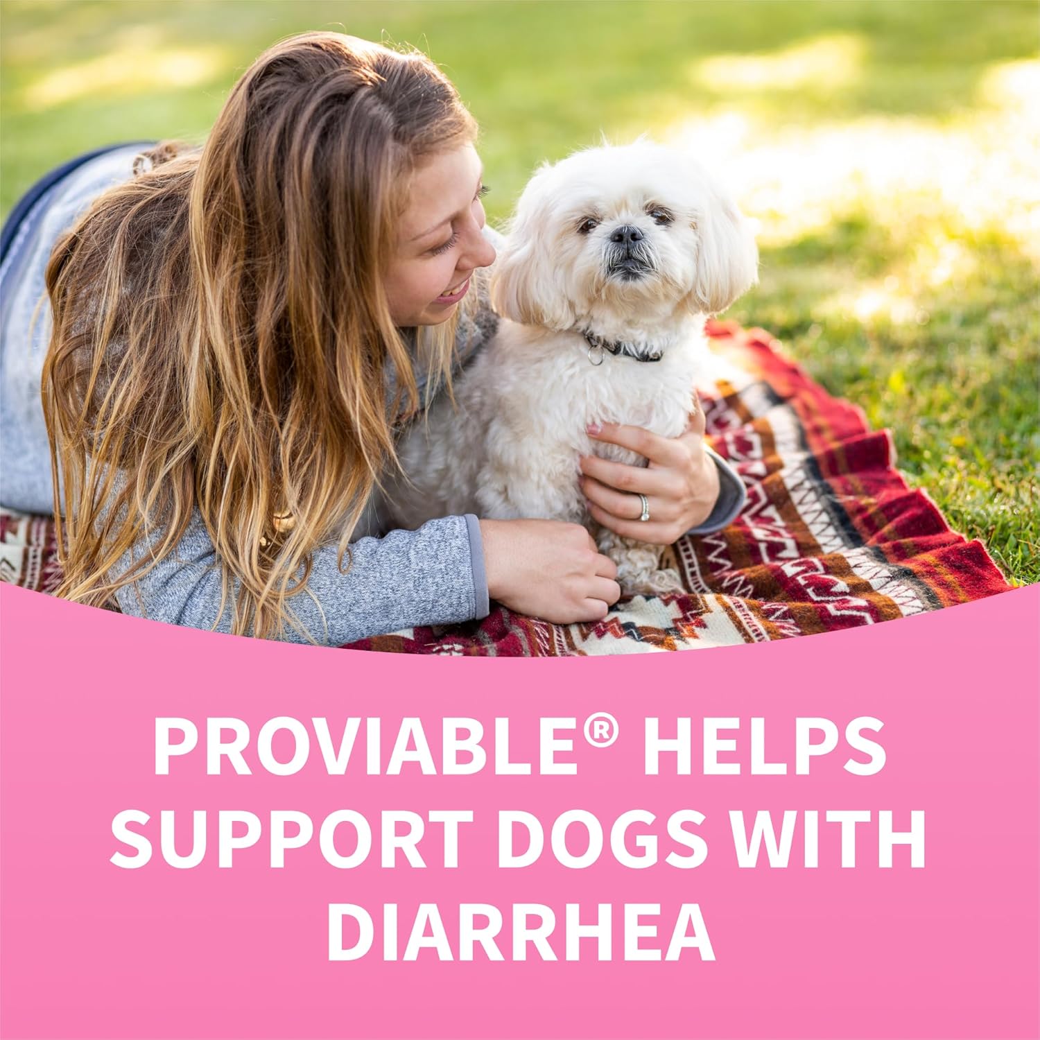 nutramax-laboratories-proviable-digestive-health-supplement-kit-for-medium-to-large-dogs---multi-strain-probiotics-and-prebiotics-7-bacteria-strains-30-ml-paste-10-capsules-11