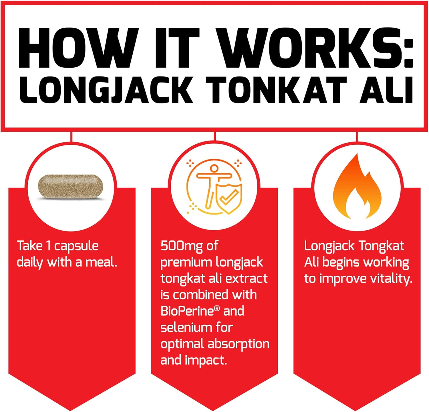 longjack-tongkat-ali-capsules-for-men---500mg-longjack-extract-with-bioperine---supports-male-vitality-and-drive---2-pack-of-60-capsules-5
