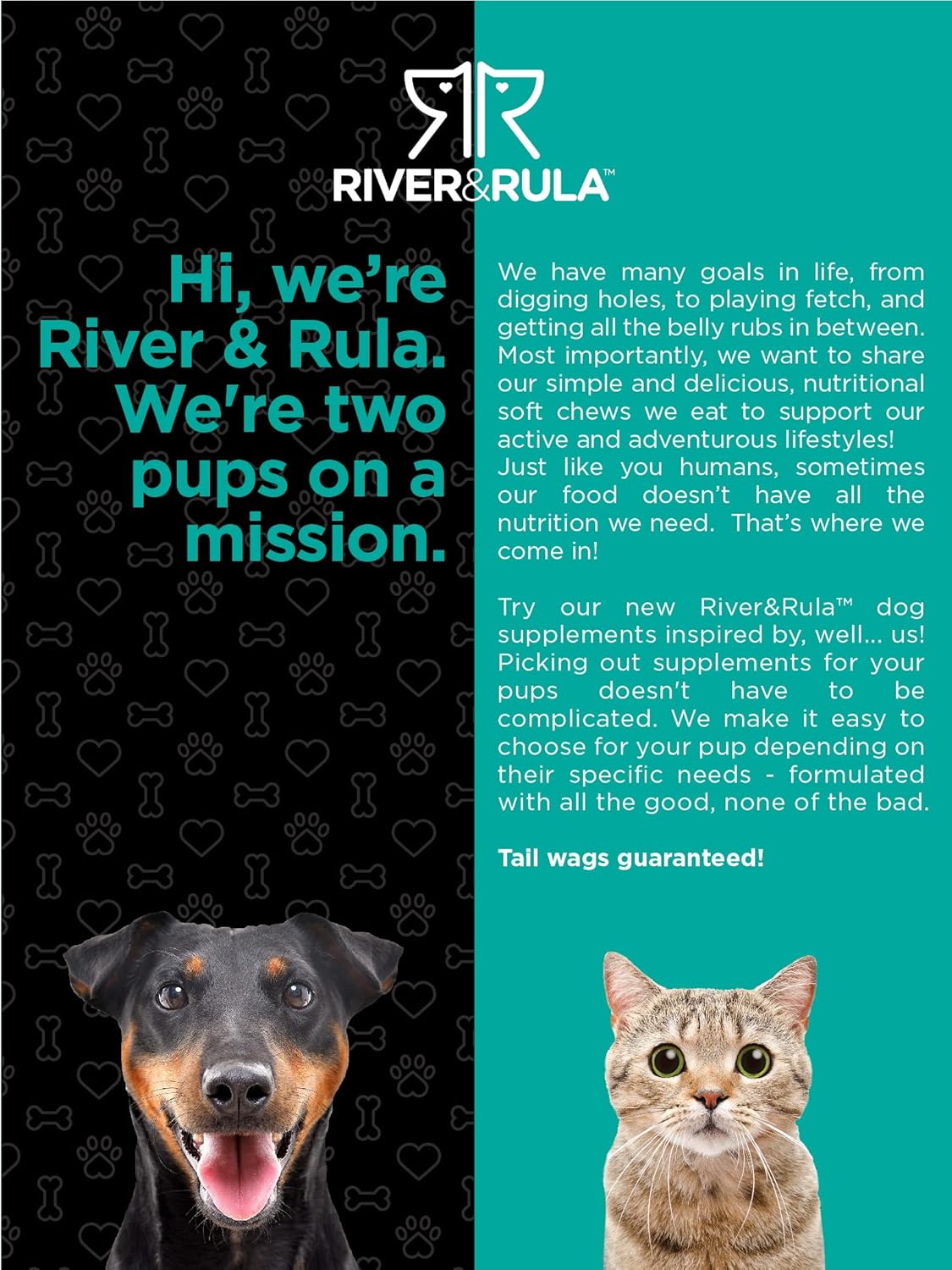 river-rula-probiotic-chewable-tablets-for-dogs-cats---120-count-digestive-aid-with-14-strains---savory-beef-flavor-supplement-6