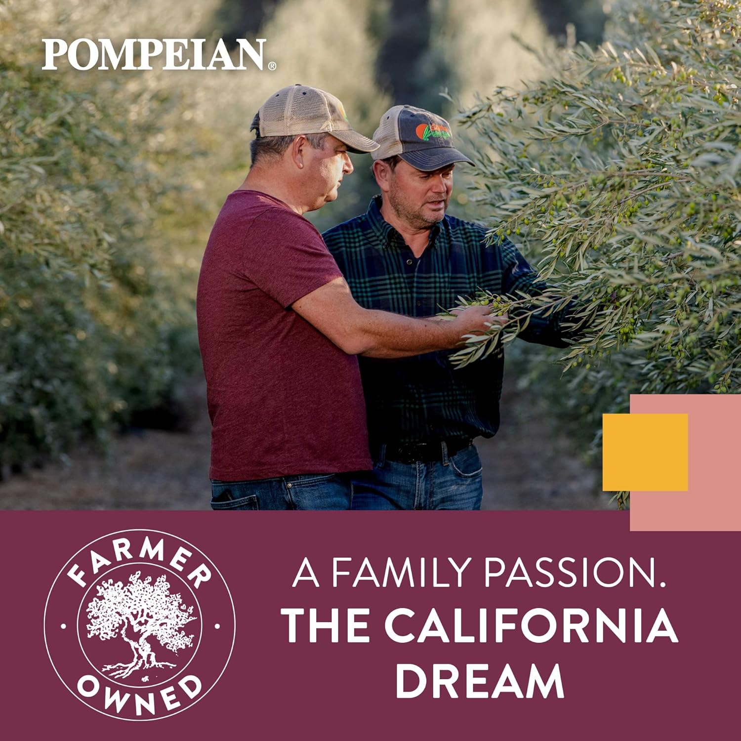 pompeian-california-dream-extra-virgin-olive-oil---100-california-premium-estate-harvest---cooc-certified---gluten-free-non-gmo---32-fl-oz-single-bottle-2