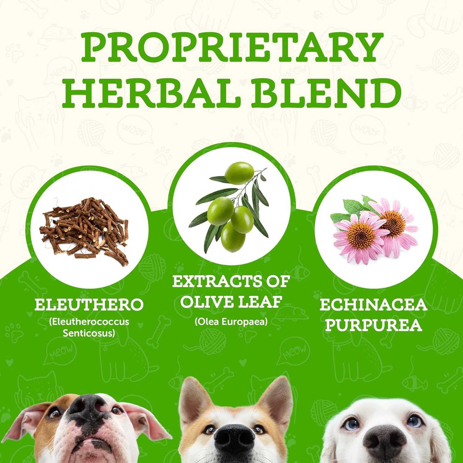 super-immune-support-supplement-for-dogs-cats---echinacea-eleuthero-olive-leaf-extract---liquid-drops---1-fl-oz-3