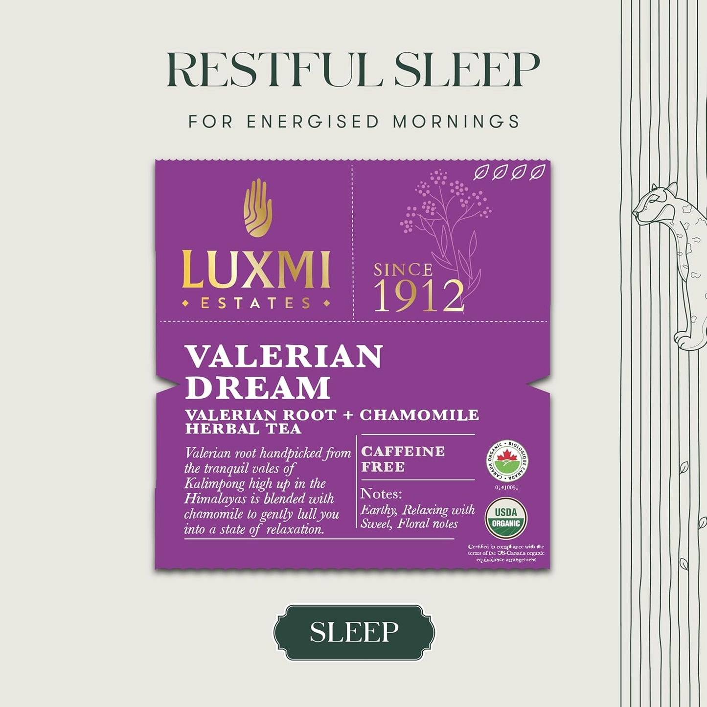 valerian-dream-tea---organic-blend-for-sleep---25-tea-bags-valerian-root-chamomile-lavender---relaxing-herbal-infusion-4