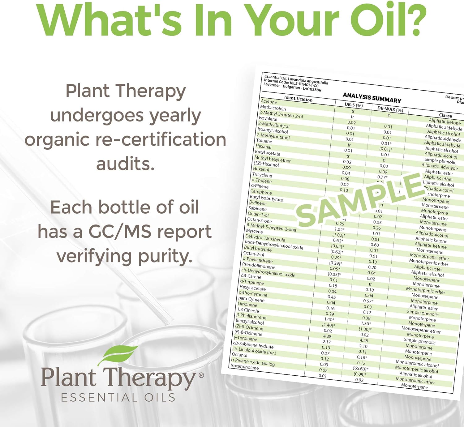 organic-ylang-ylang-complete-essential-oil---100-pure-natural-aromatherapy---therapeutic-grade---10-ml-bottle-3