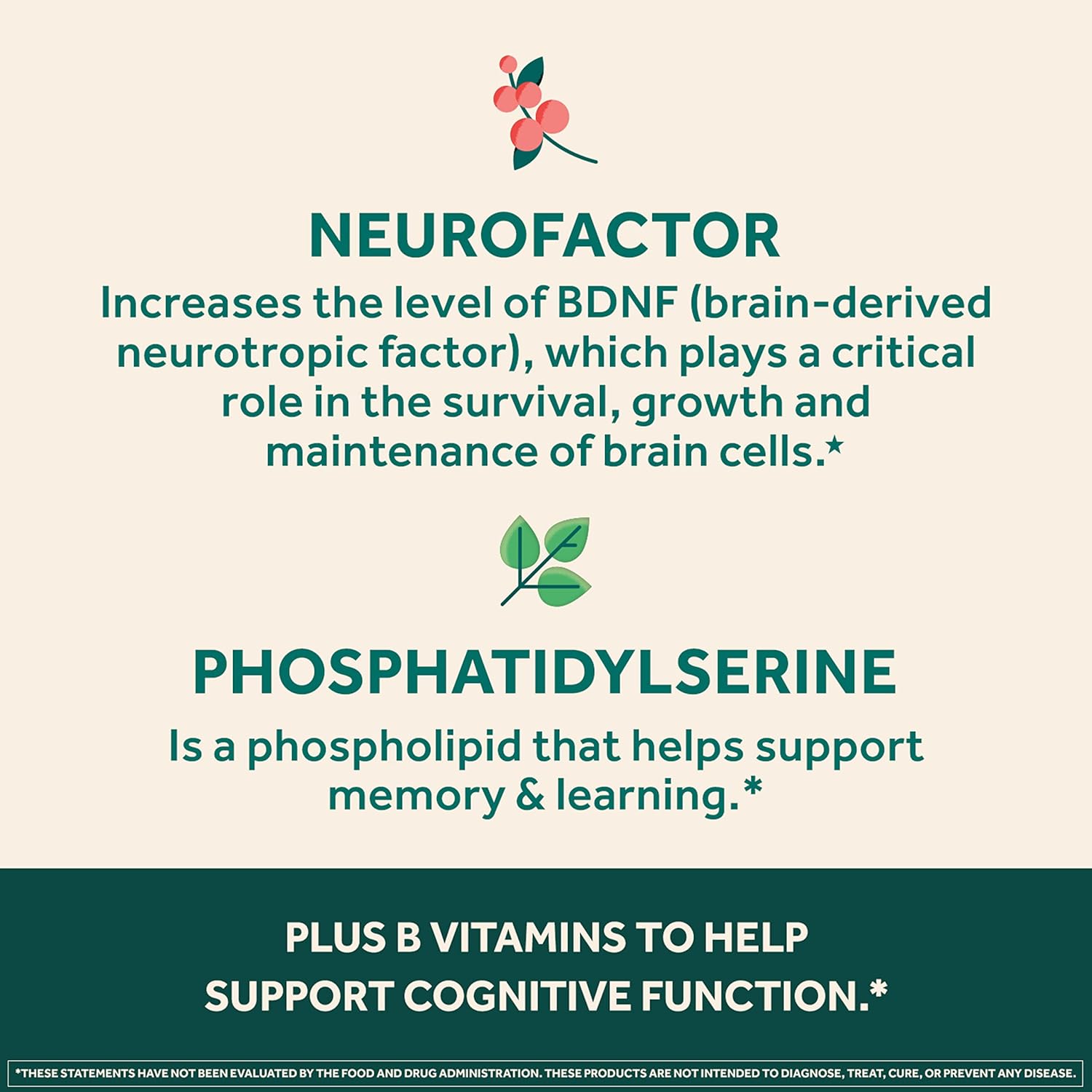NEURIVA Ultra Decaffeinated Brain Supplement for Mental Alertness, Memory & Focus - Clinically Tested Nootropic with Cognivive, Neurofactor, Phosphatidylserine, Vitamins B6 & B12 - 14ct Capsules - Espot.com.au