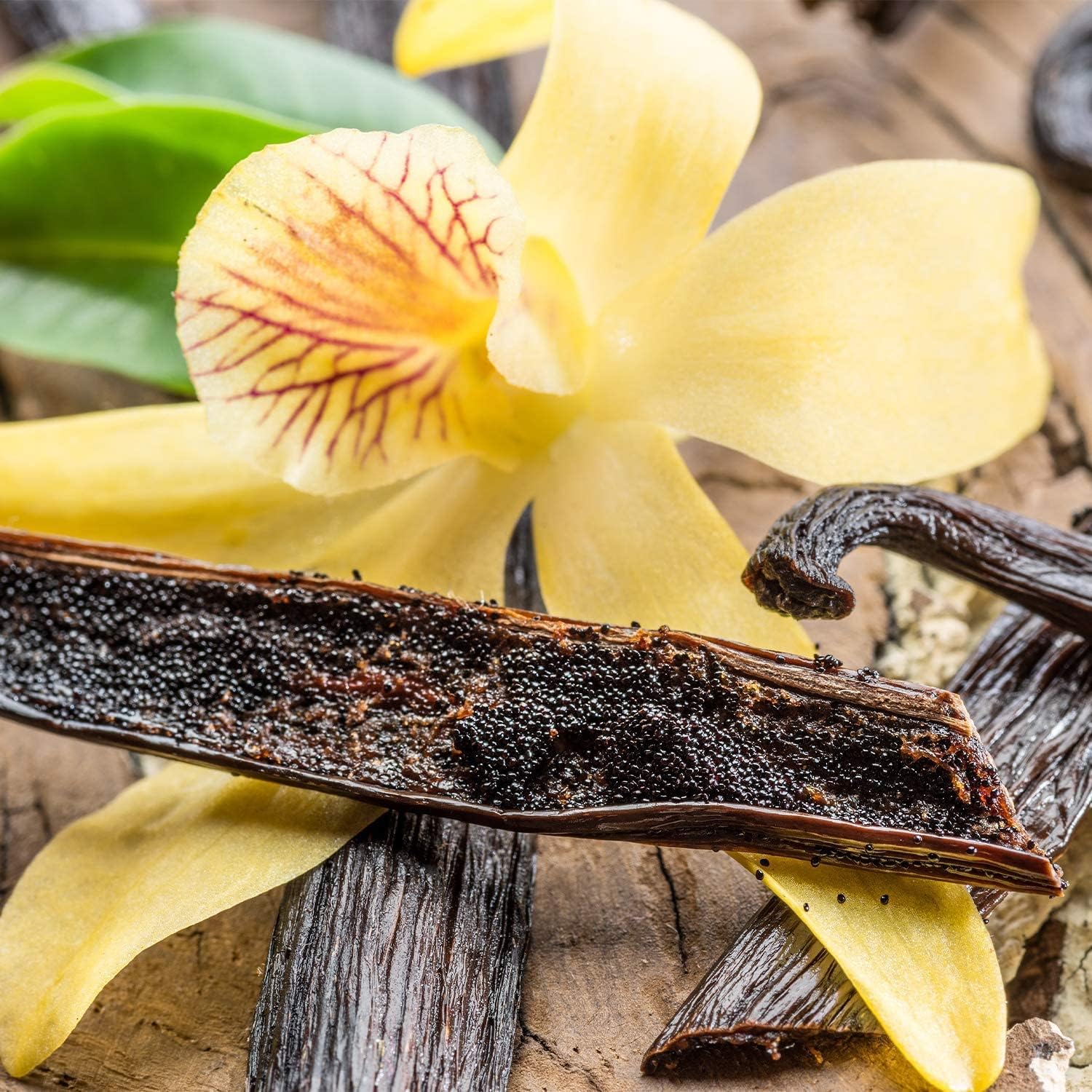 vanilla-pea-protein-powder---plant-based-vegan-blend-keto-gluten-free---20-servings-18oz-3