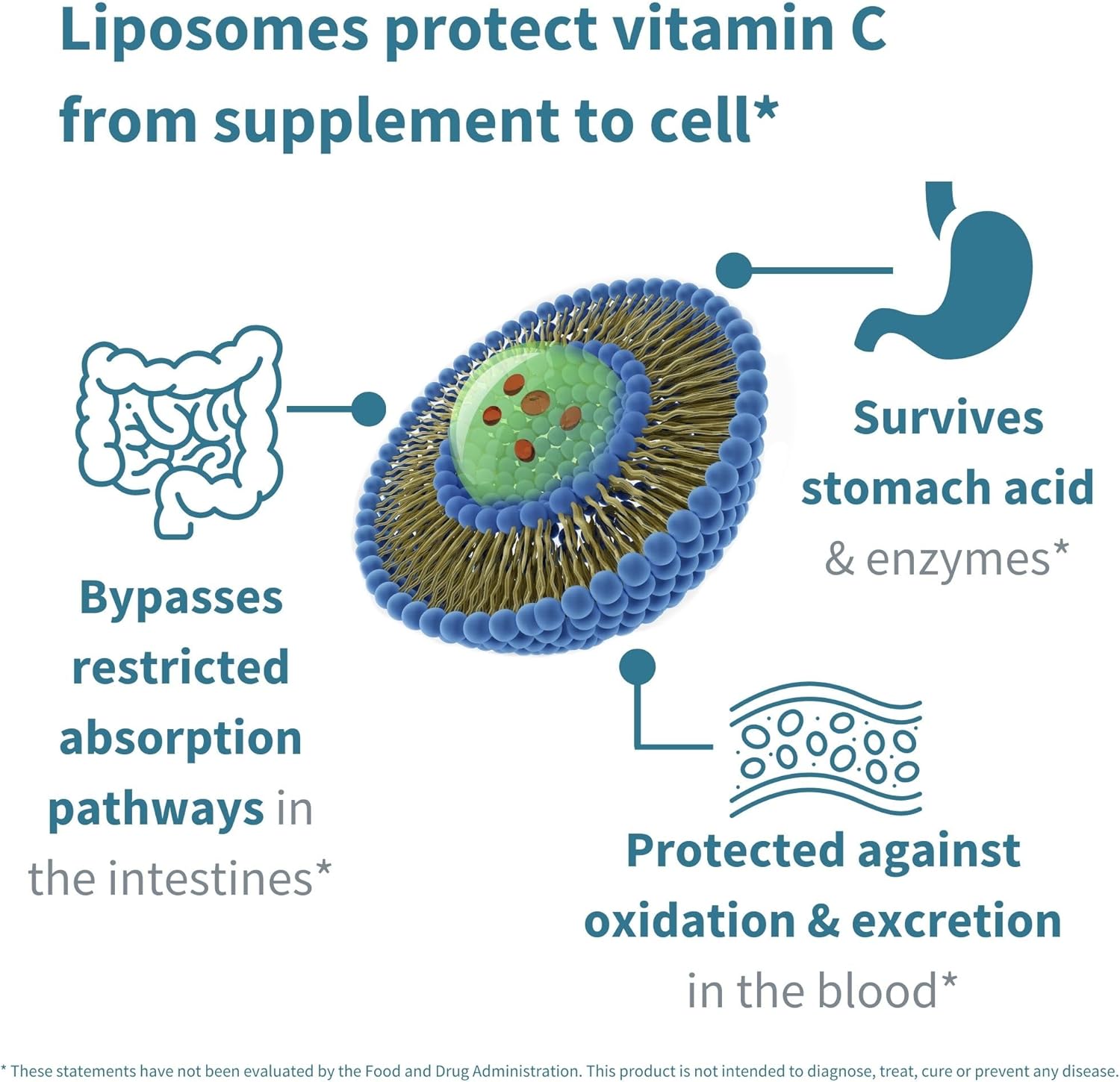 igennus-liposomal-vitamin-c-1000mg-zinc-bisglycinate-liquid-immune-support---citrus-vanilla-flavor---non-gmo---sugar-free---30-90-servings-for-adults-kids-5-4