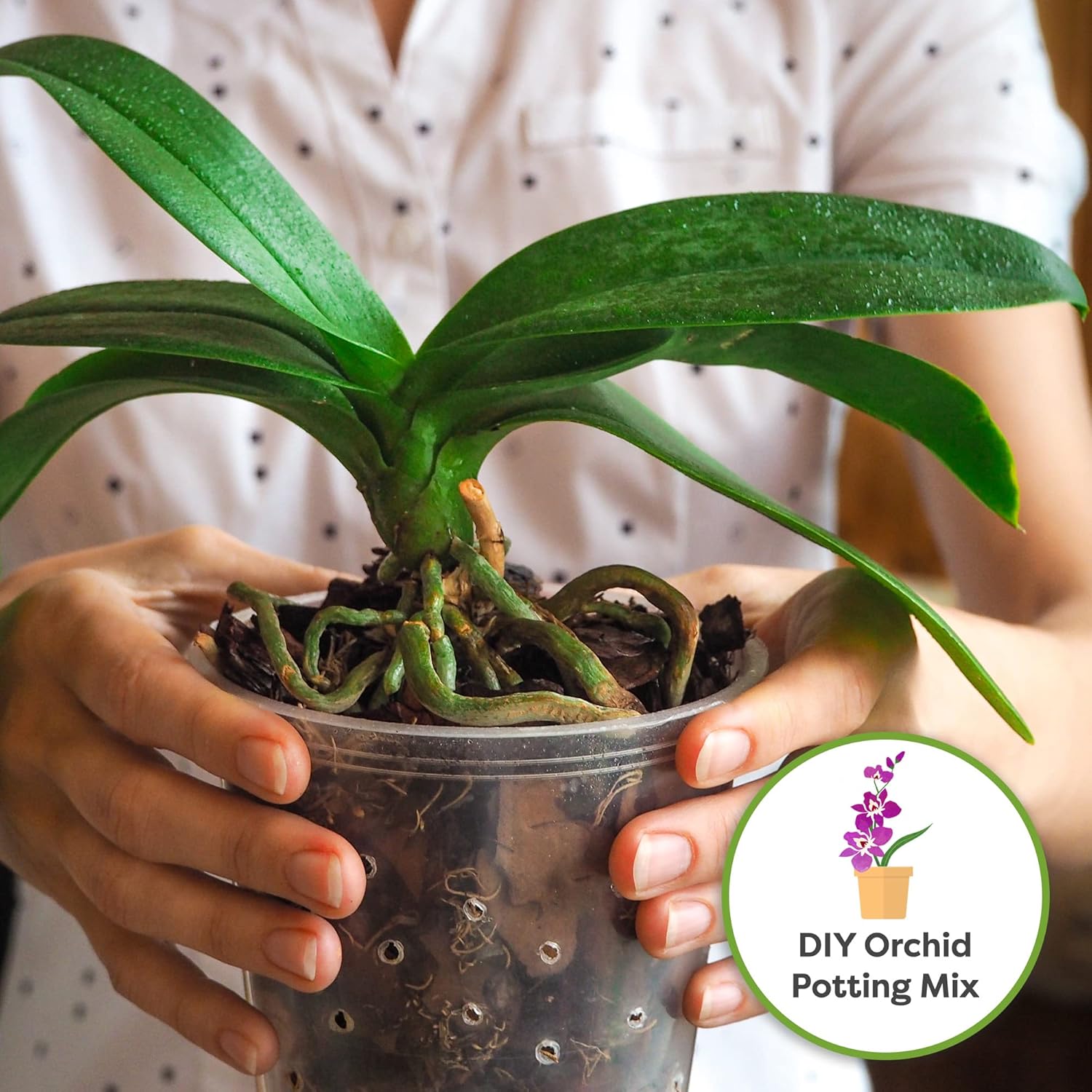 premium-orchid-bark-mulch-mix---ideal-for-epiphytic-plants---4qt-bag---base-for-orchid-potting-soil-substrate-4