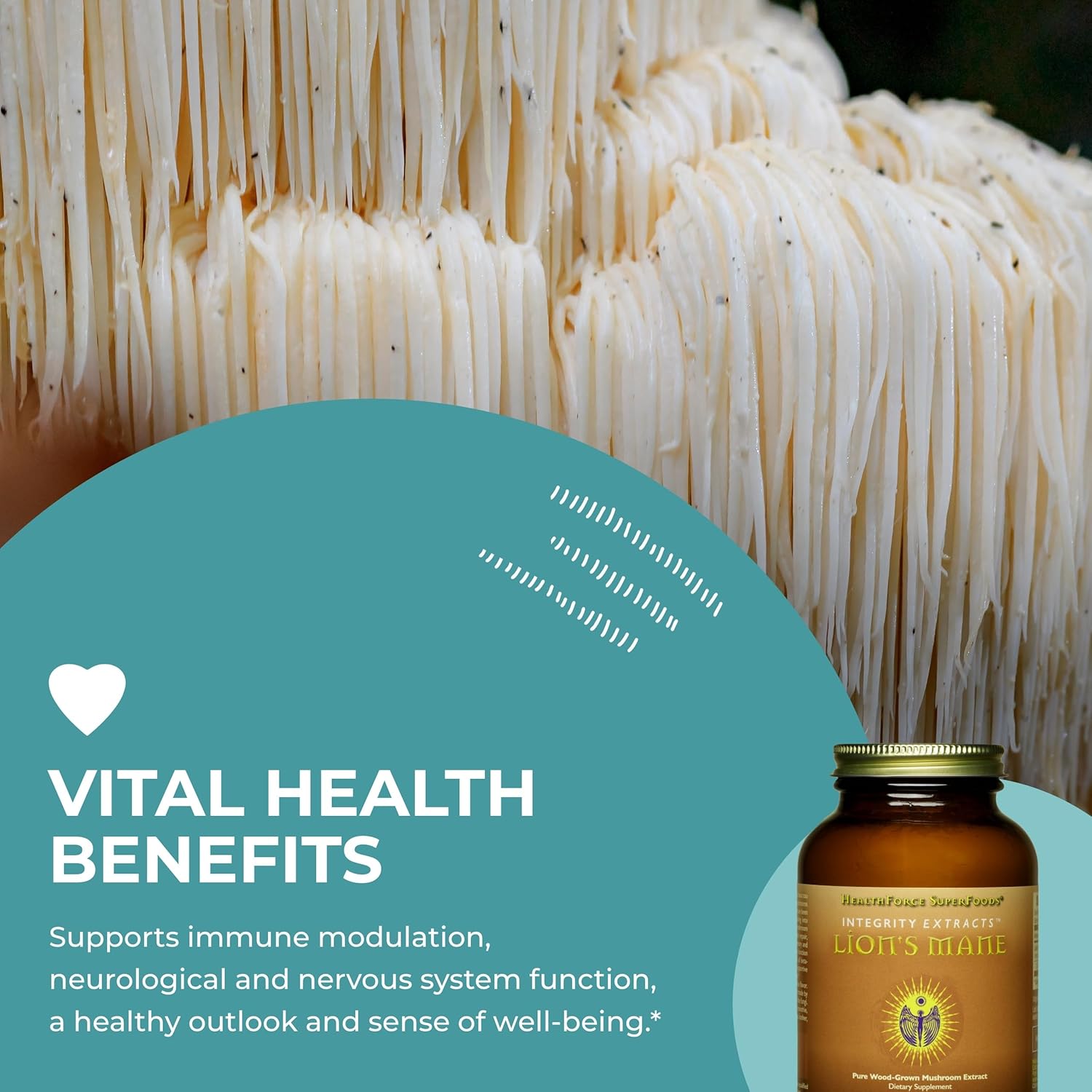 HealthForce SuperFoods Integrity Extracts Lion's Mane Capsules - 90 Vegan Capsules for Cognitive Support and Overall Wellness - Espot.com.au