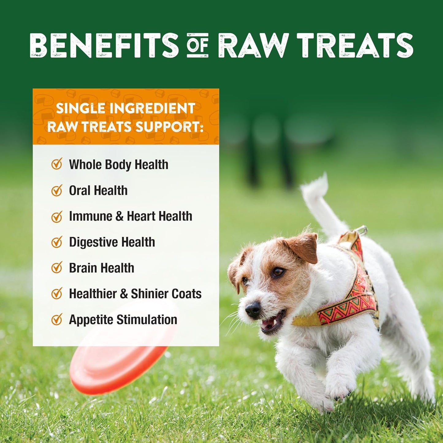 freeze-dried-cheddar-cheese-treats-for-dogs-and-cats---bite-sized-healthy-snacks---natural-human-grade-ingredients---6-oz-pack-of-3-5