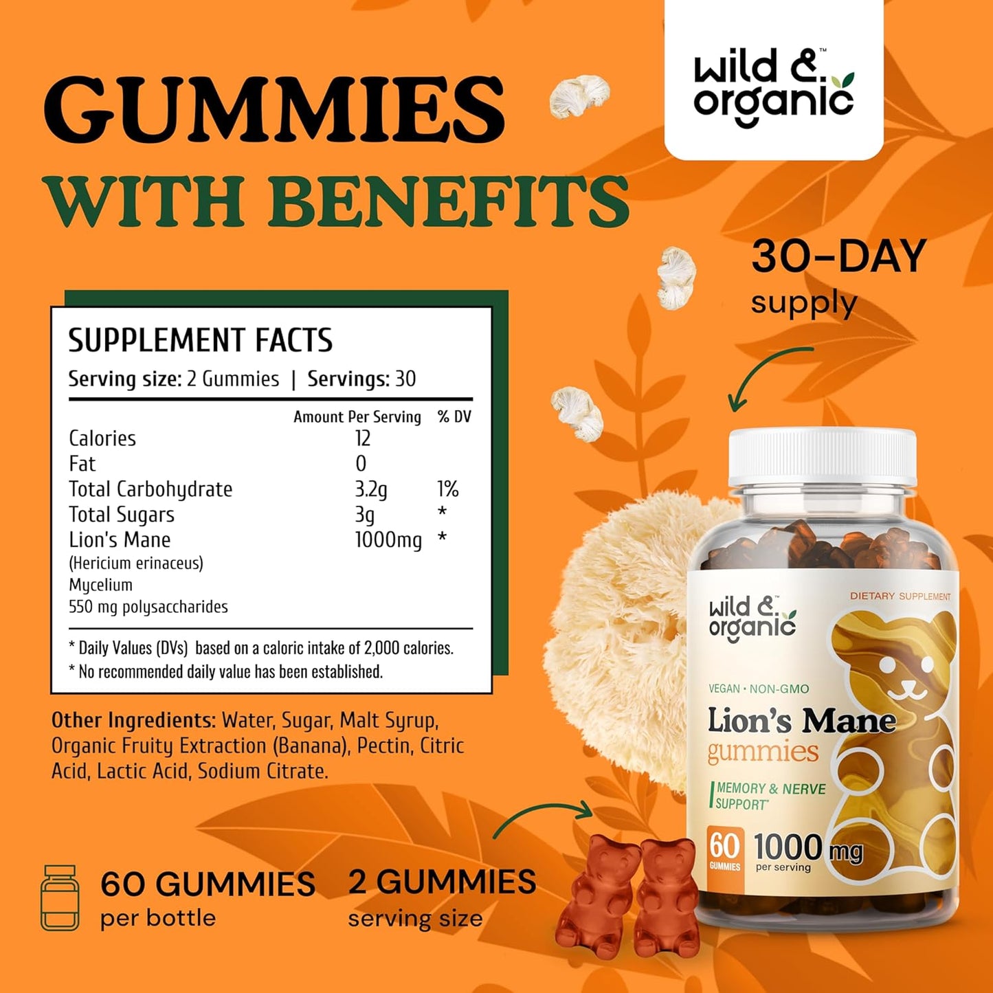 organic-lions-mane-and-ginkgo-biloba-gummies-for-enhanced-cognitive-function-and-focus-3