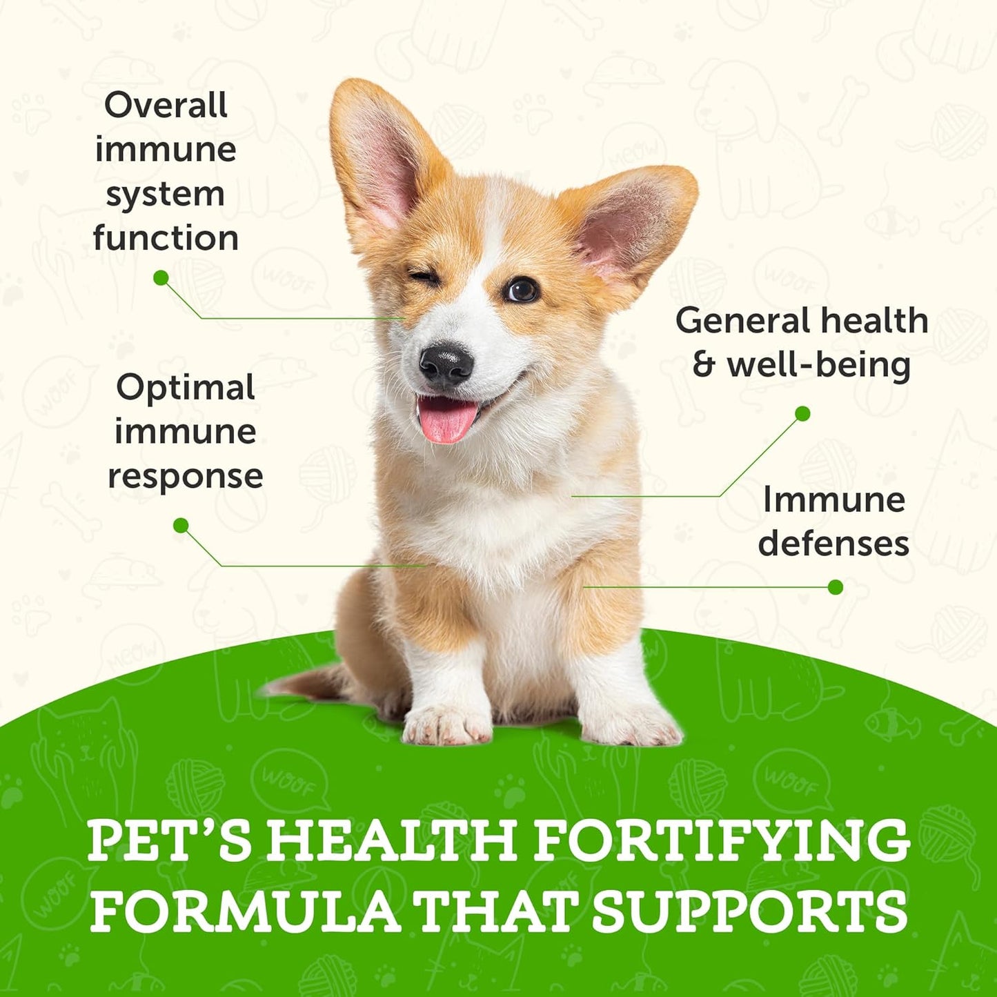 super-immune-support-supplement-for-dogs-cats---echinacea-eleuthero-olive-leaf-extract---liquid-drops---1-fl-oz-5