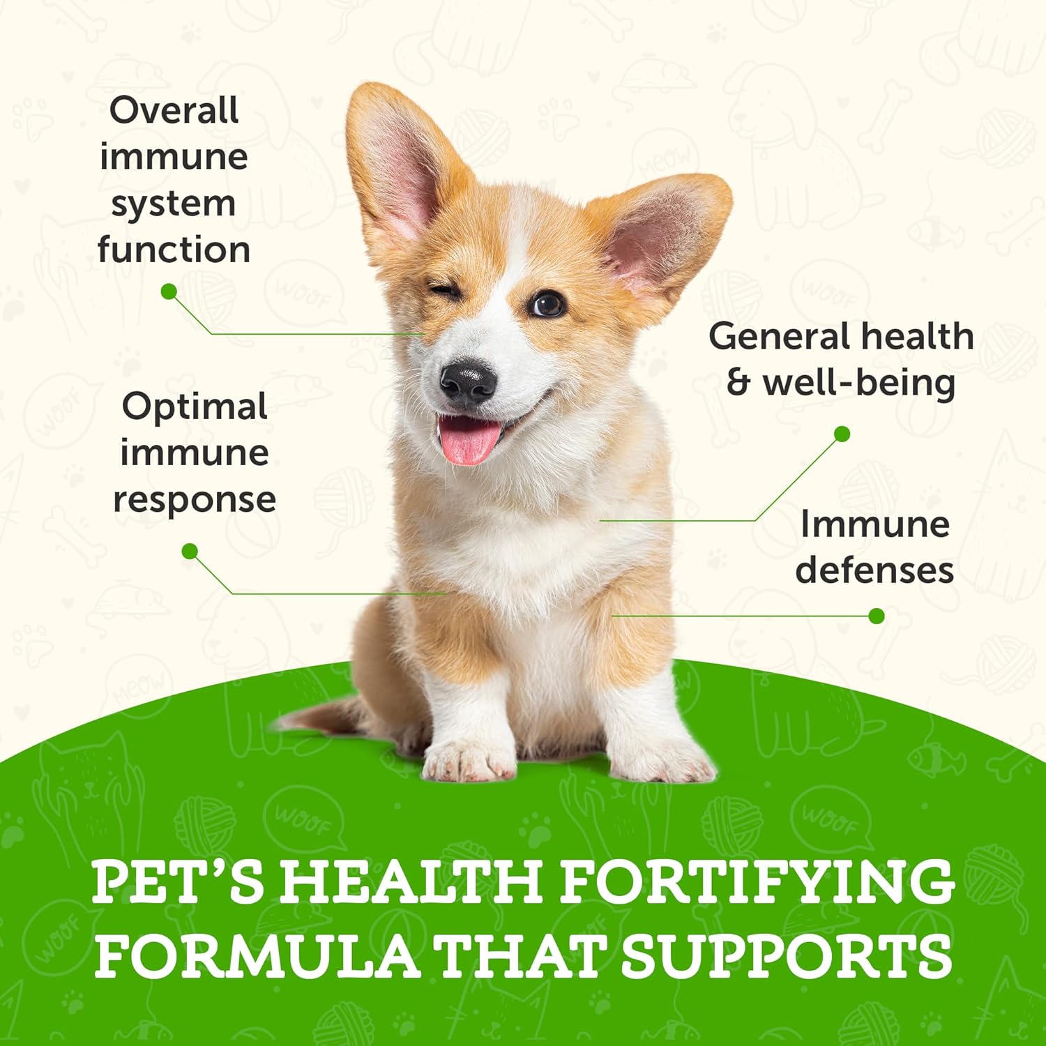 super-immune-support-supplement-for-dogs-cats---echinacea-eleuthero-olive-leaf-extract---liquid-drops---1-fl-oz-5