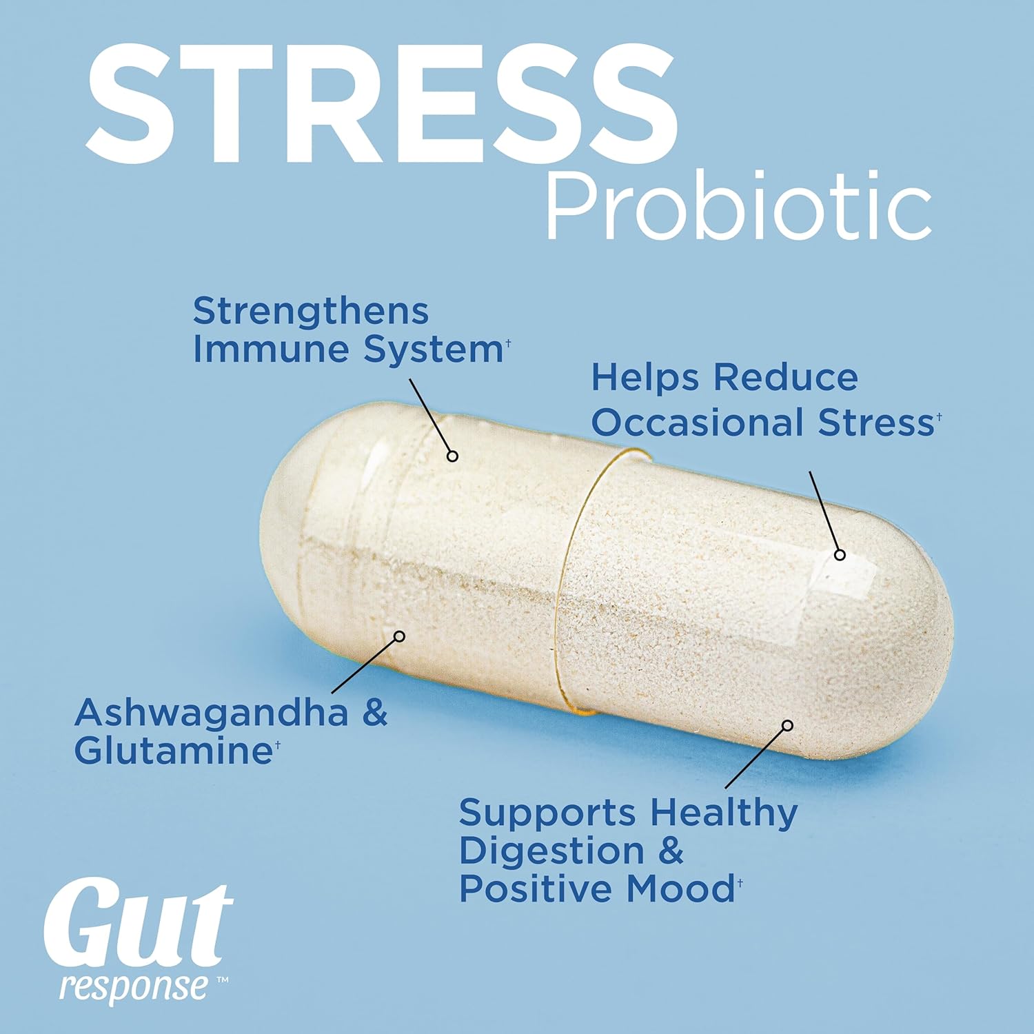 ashwagandha-l-glutamine-stress-probiotic-for-digestive-health-boosts-immunity-promotes-calmness---non-gmo-gluten-free-vegan---5-billion-cfu---30-caplets-3