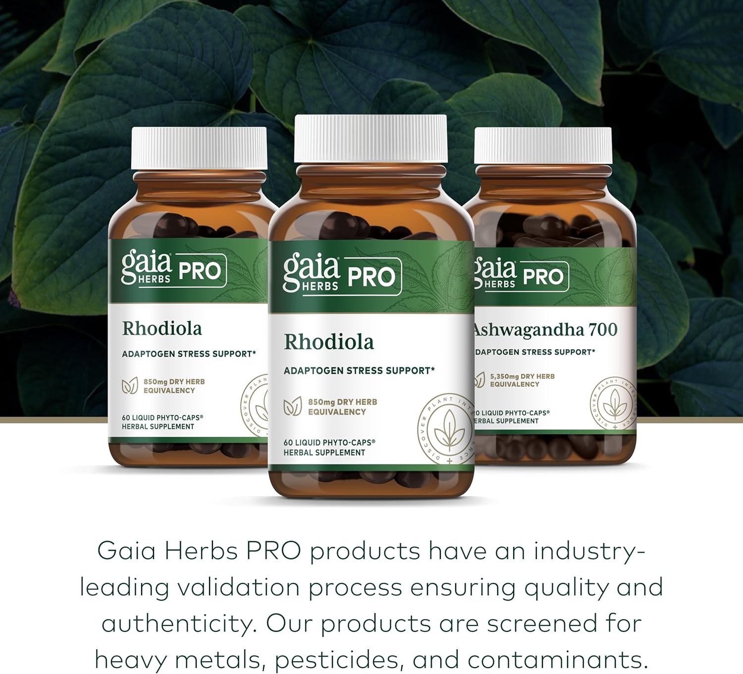 organic-rhodiola-supplement-for-stress-relief---gaia-herbs-pro-formula-with-rhodiola-rosea-rosavins---60-vegan-liquid-capsules-6