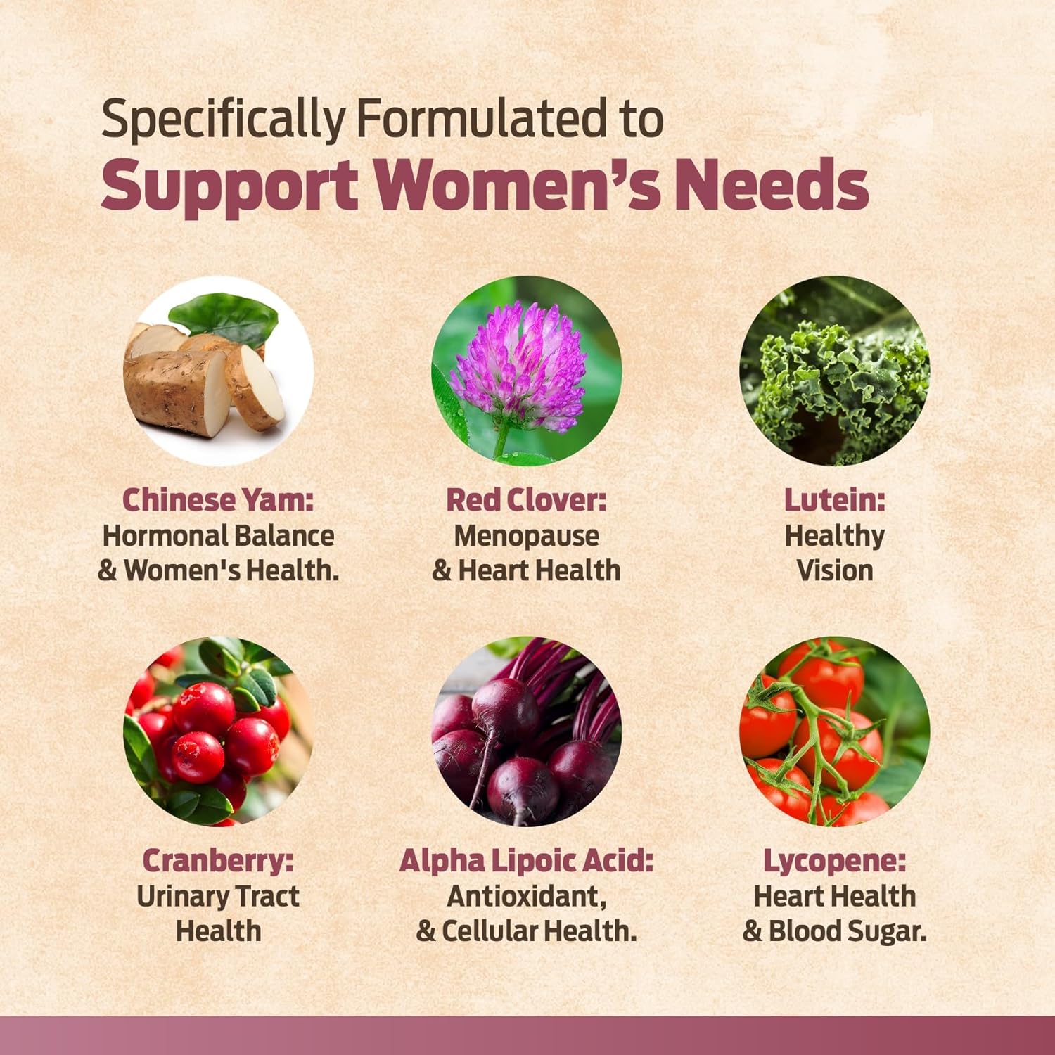 forestleaf-womens-multivitamin-with-essential-vitamins-minerals-energy-immune-support---non-gmo-60-veg-caps-5