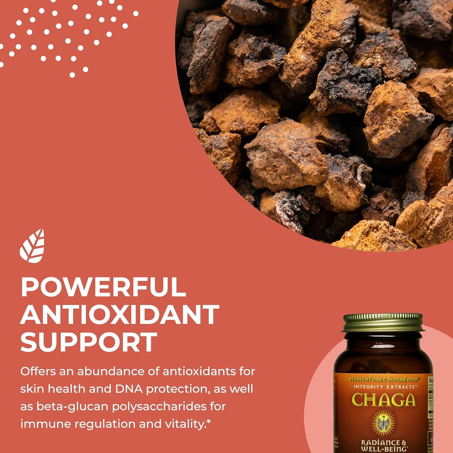 HealthForce SuperFoods Integrity Extracts Chaga Powder - 150g for Immune Support and Antioxidant Boost - Espot.com.au