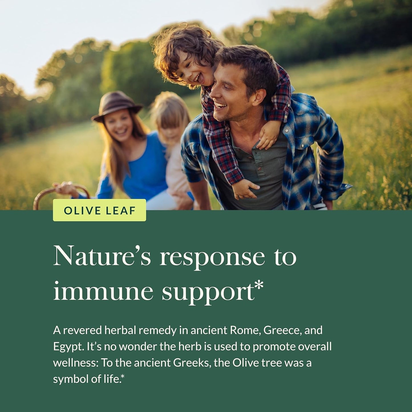 organic-gaia-herbs-olive-leaf-liquid-extract---1-fluid-ounce-bottle-for-immune-support-and-antioxidant-benefits-5