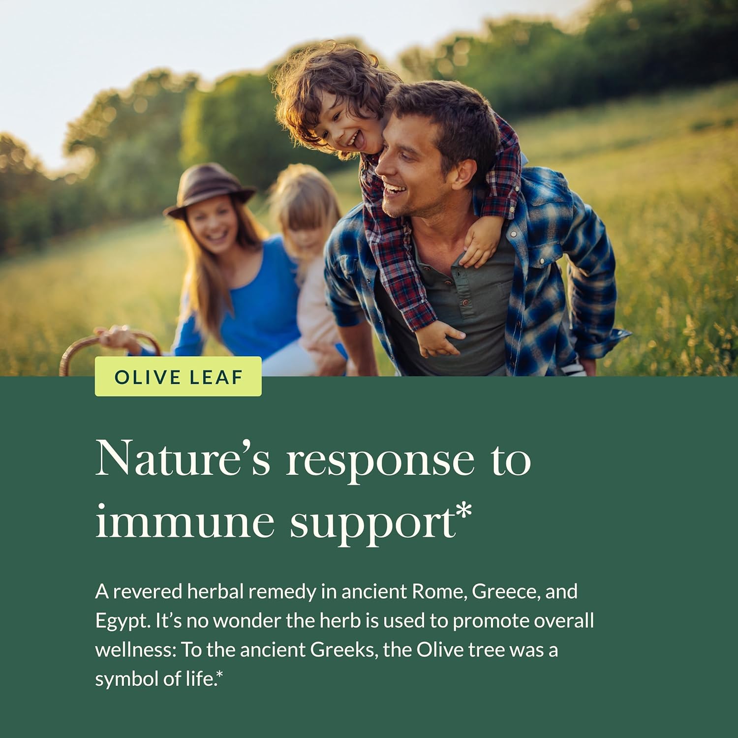 organic-gaia-herbs-olive-leaf-liquid-extract---1-fluid-ounce-bottle-for-immune-support-and-antioxidant-benefits-5