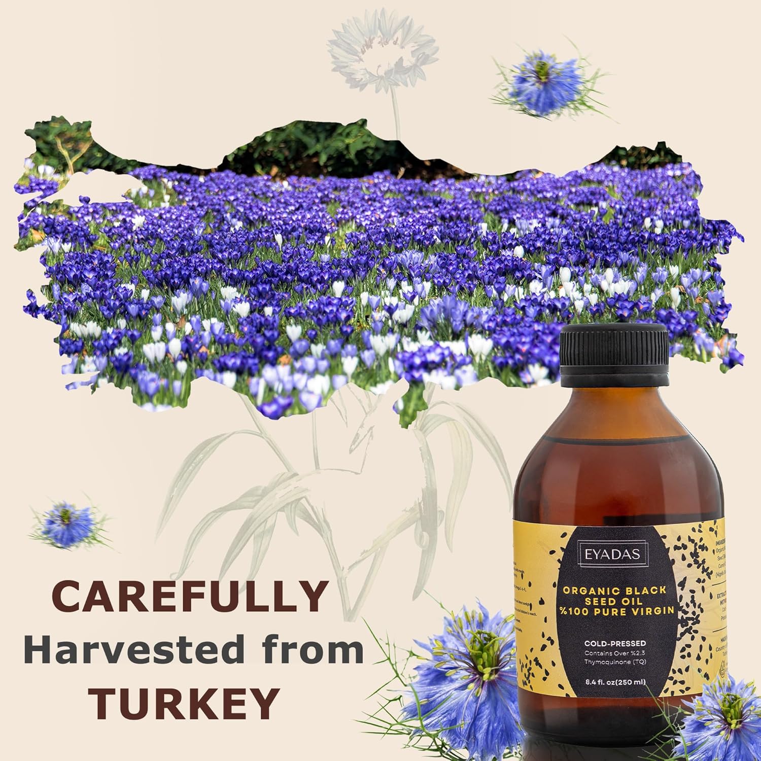 100-pure-turkish-black-seed-oil---cold-pressed-liquid-84-fl-oz---high-thymoquinone-content---organic-nigella-sativa---amber-glass-bottle---cumin-seed-oil-3