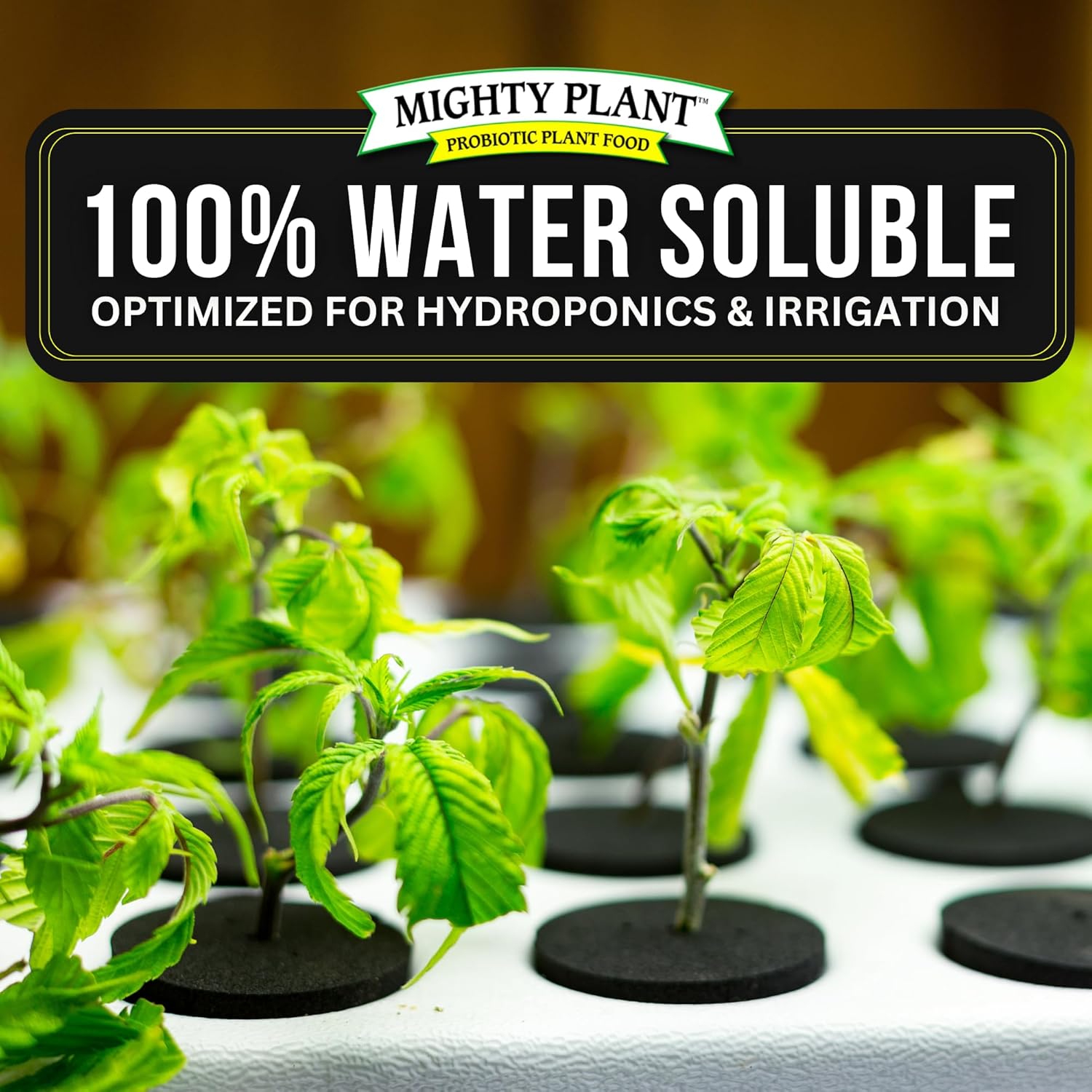 mighty-plant-budcharge-bloom-booster-0-50-32-for-heavy-flowering-harvests---high-density-pk-formula-for-fruit-flower-production---5-ounces-4