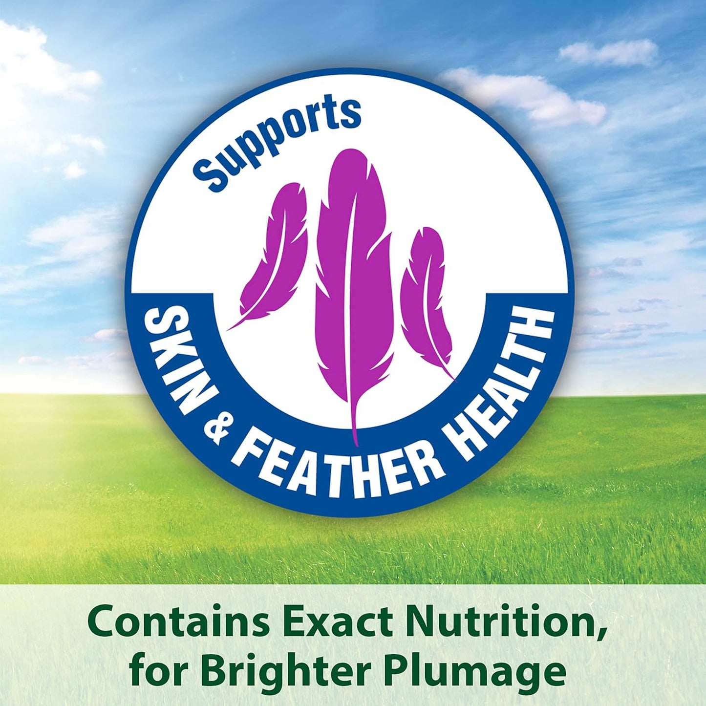 kaytee-forti-diet-pro-health-canary-finch-food---2-lb-bag---nutritious-blend-for-pet-birds---high-quality-ingredients-5