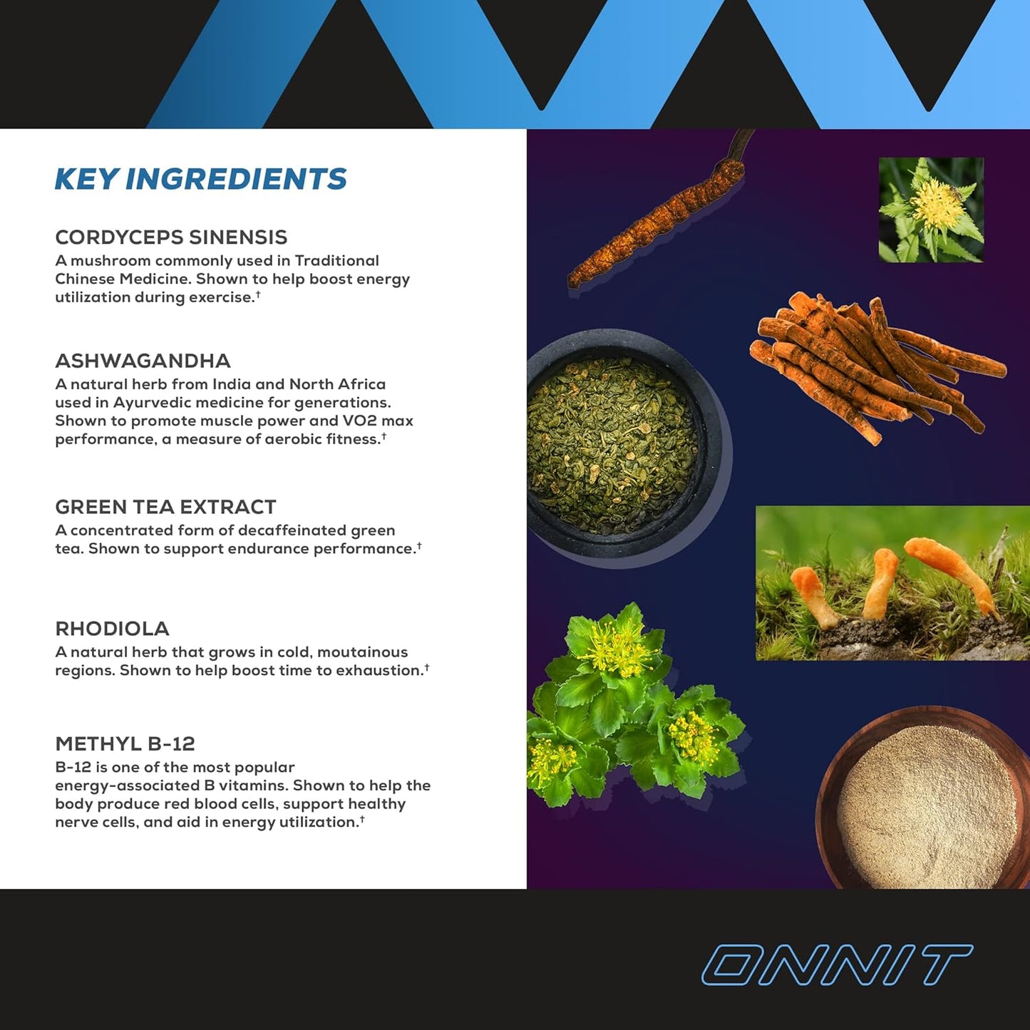 onnit-shroom-tech-sport---cordyceps-mushroom-preworkout-supplement-84ct---clinically-proven-formula-for-athletic-performance-3